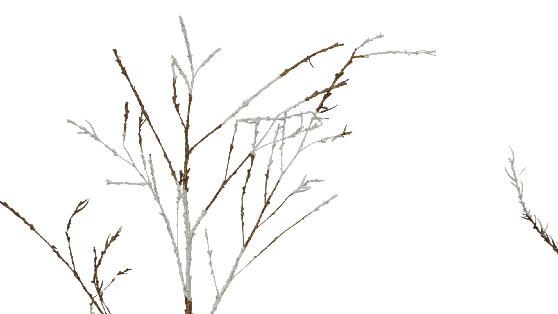 Anydrafts Dead pine needles 01 Texture_5