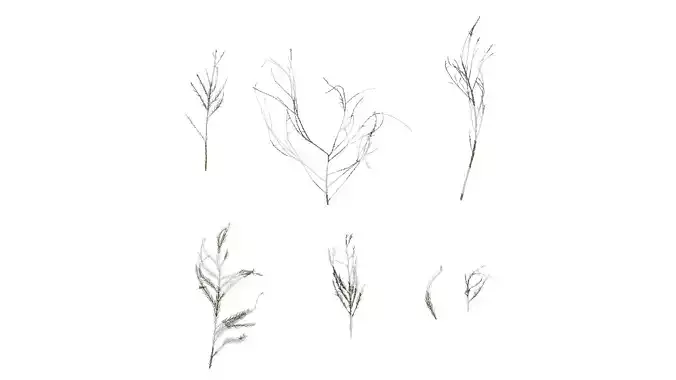 Anydrafts Dead pine needles 02