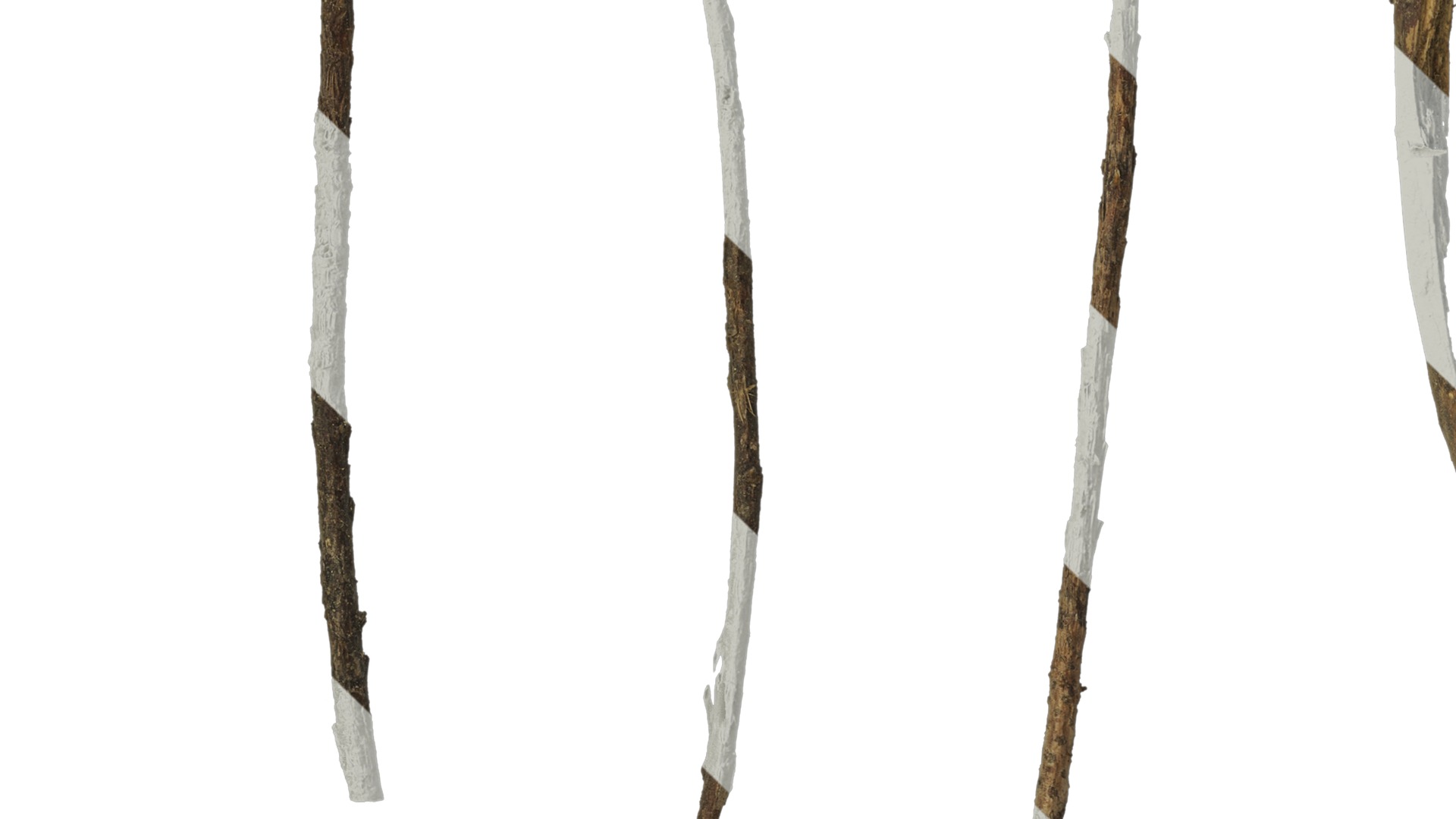 Anydrafts Dead pine needles 03 Texture_3