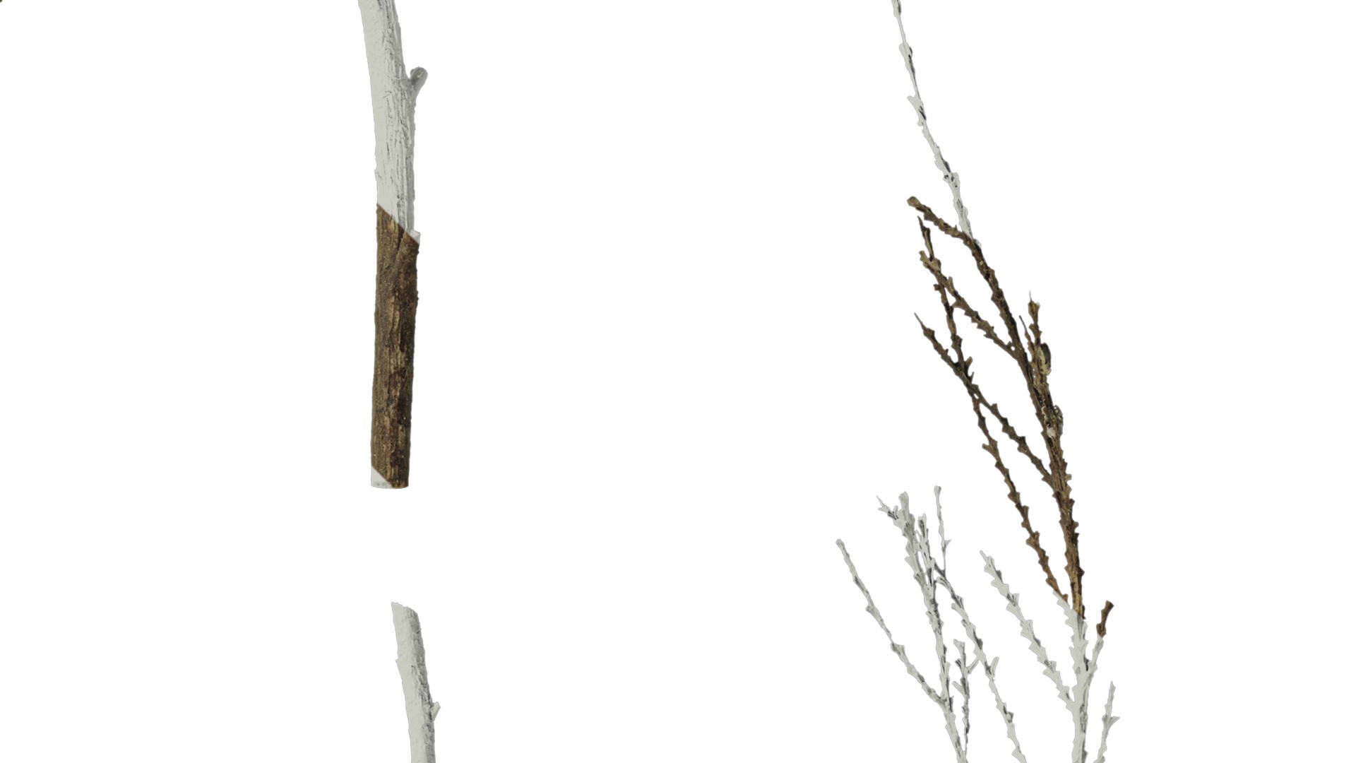 Anydrafts Dead pine needles 03 Texture_2