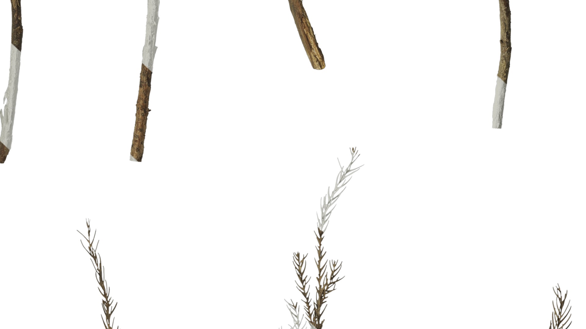 Anydrafts Dead pine needles 03 Texture_7