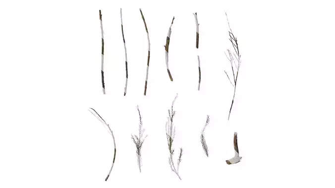 Anydrafts Dead pine needles 03