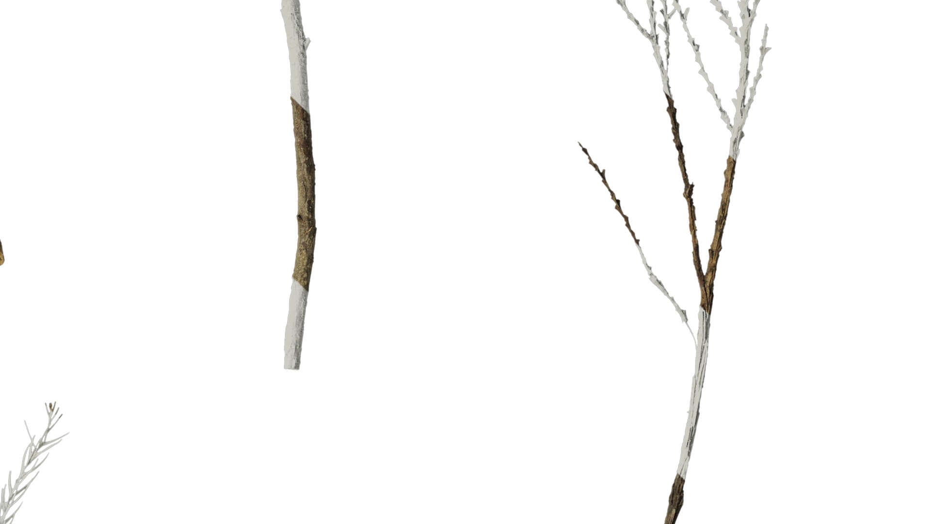 Anydrafts Dead pine needles 03 Texture_4