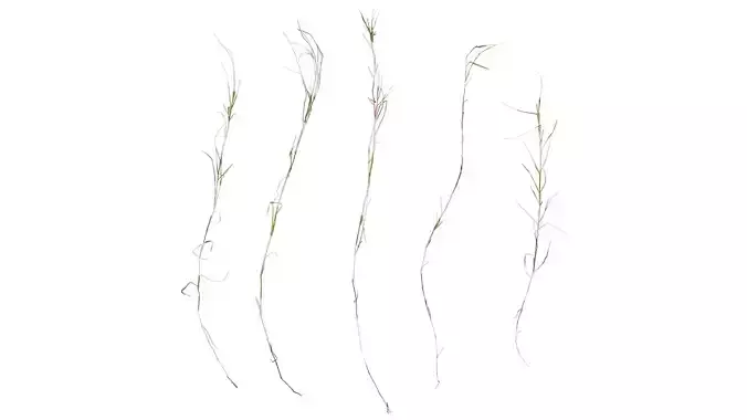 Anydrafts Dead stalks 01