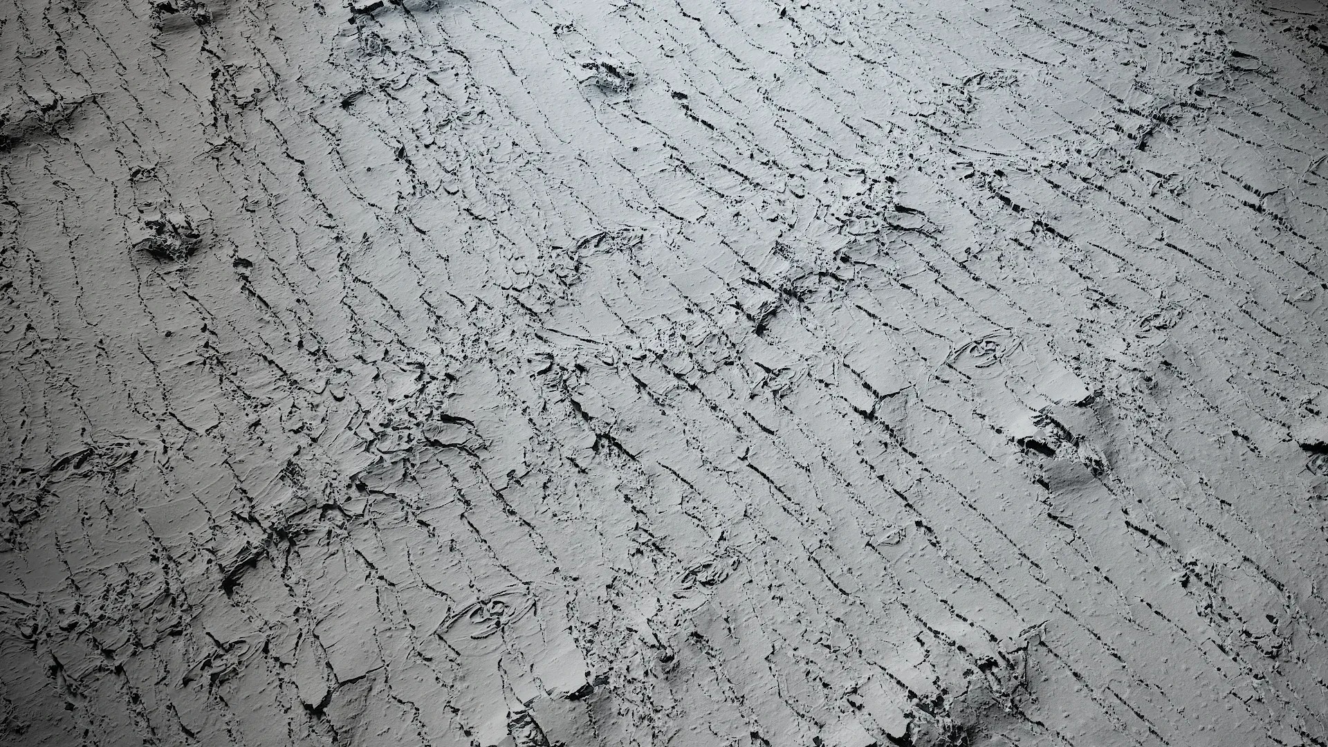 Pyrus Low-poly 3D model_58