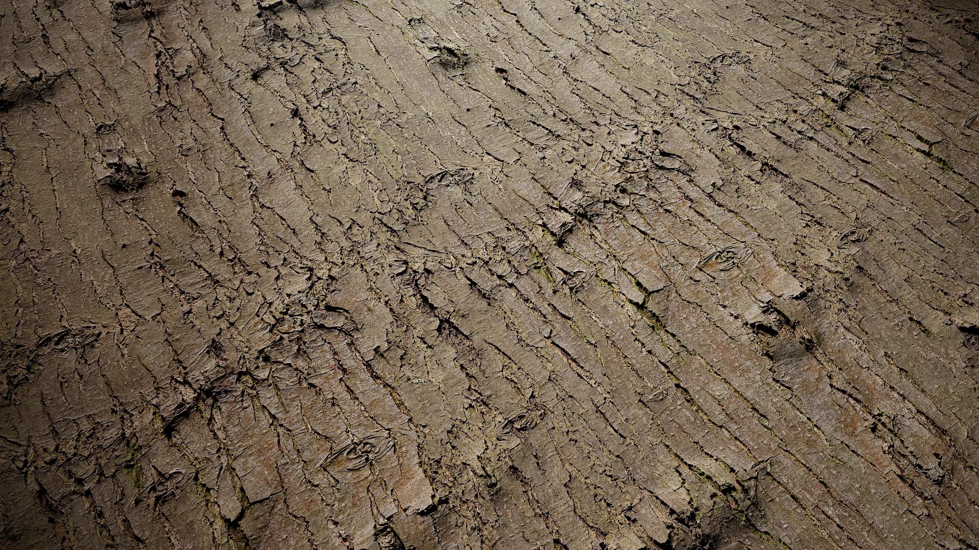 Pyrus Low-poly 3D model_57