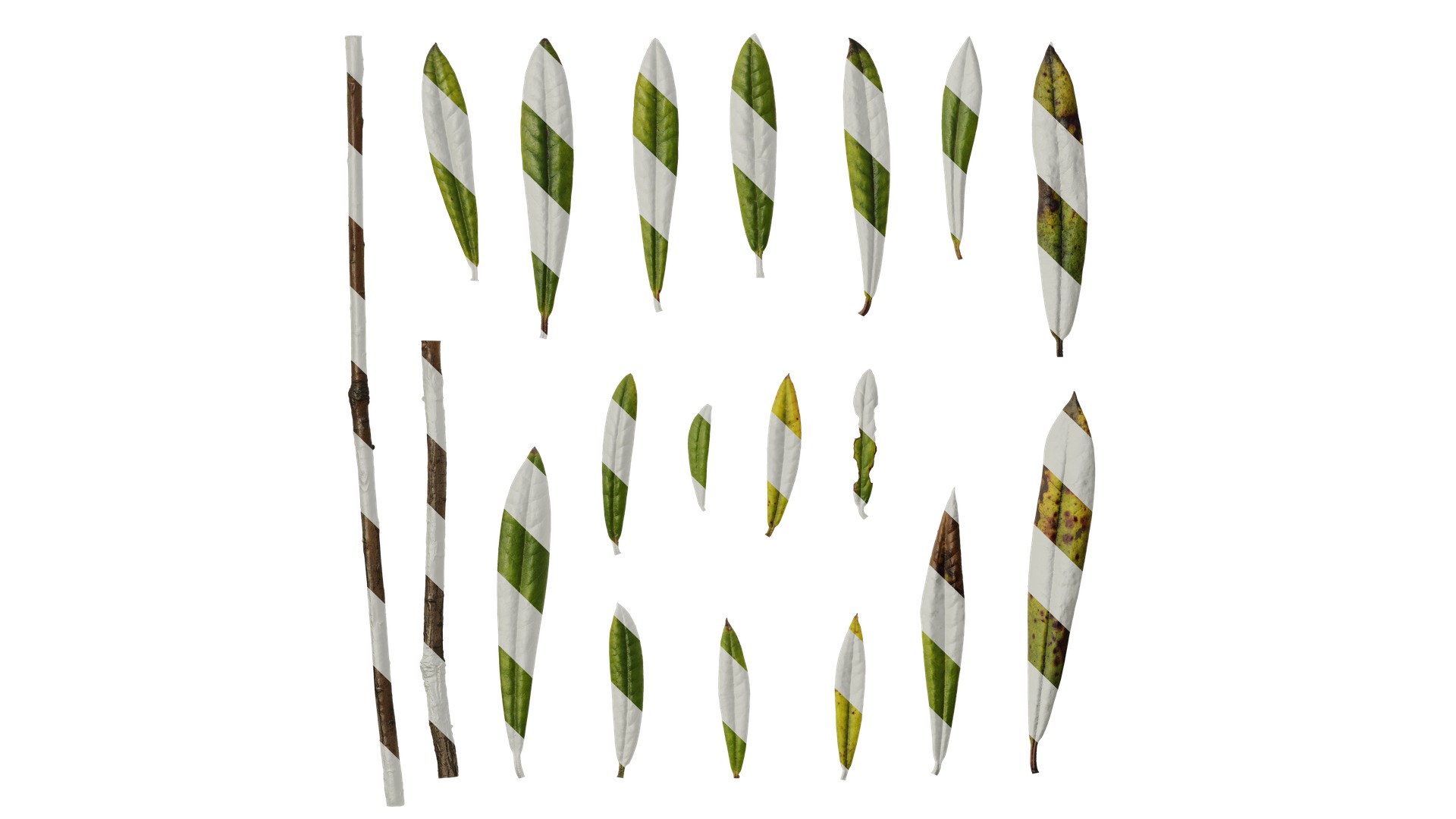 Rhododendron lapponicum Low-poly 3D model_125