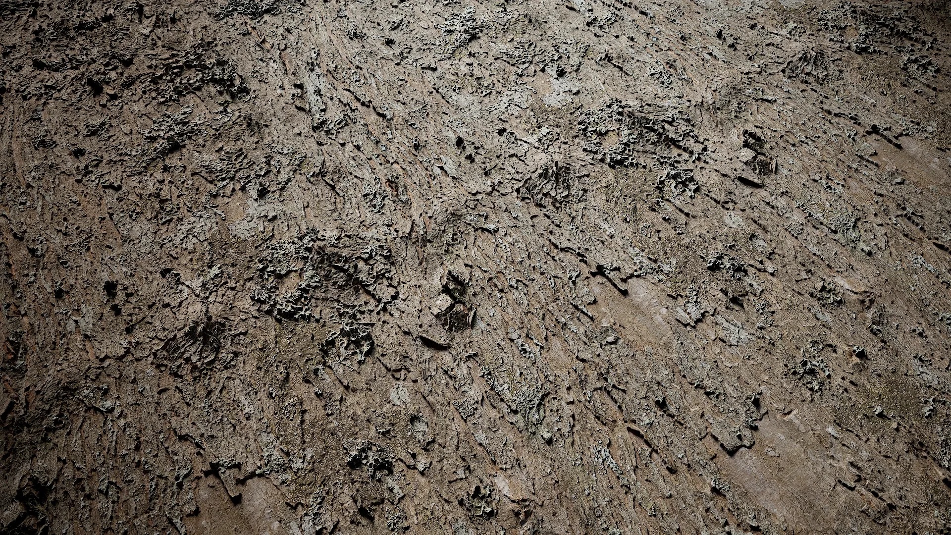 Rhododendron lapponicum Low-poly 3D model_2