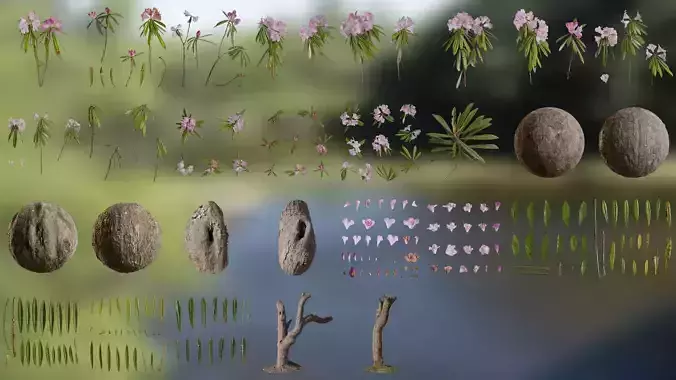 Rhododendron lapponicum