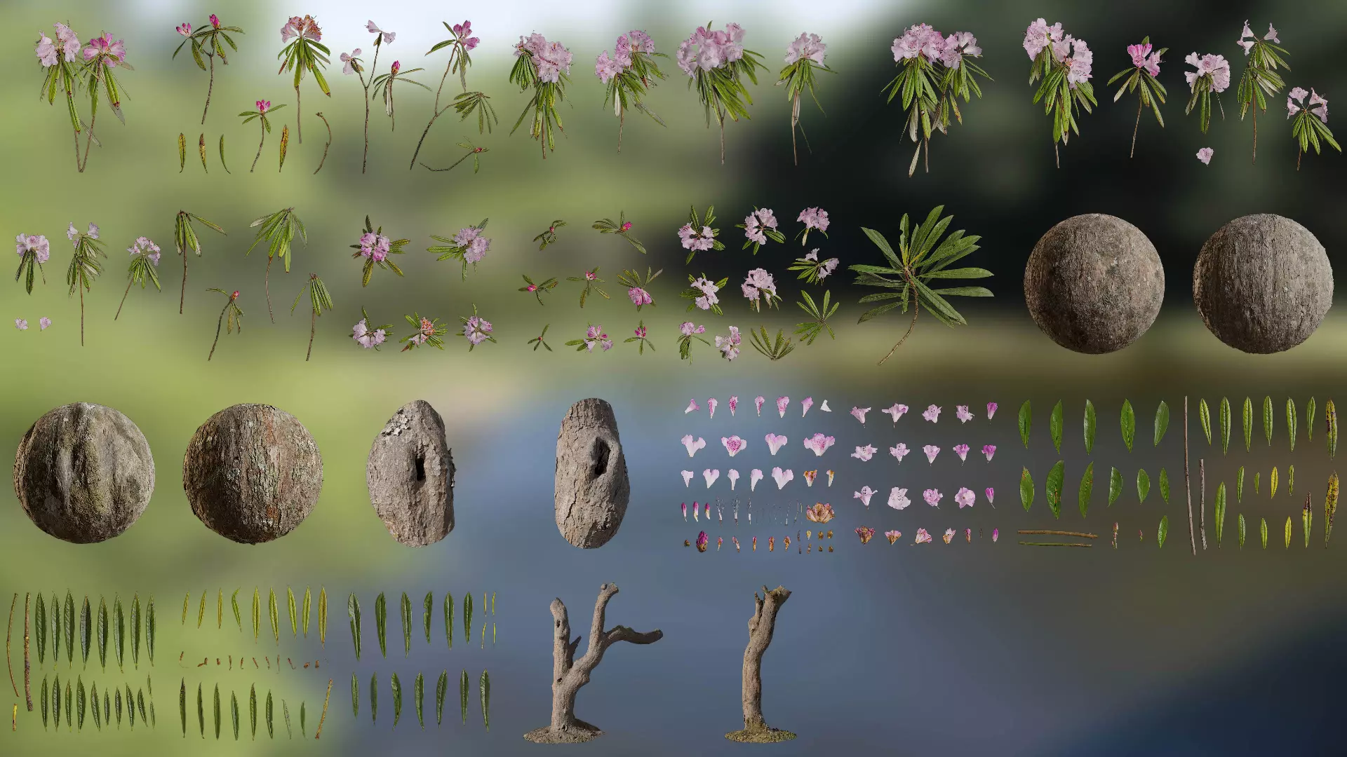 Rhododendron lapponicum Low-poly 3D model_0