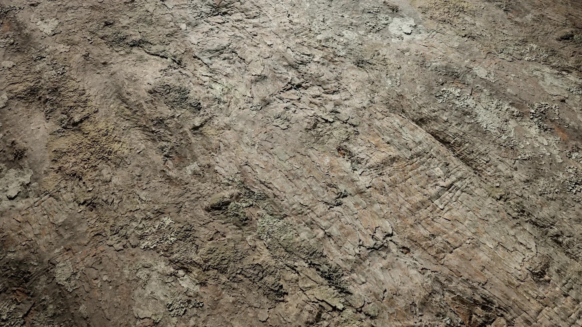 Rhododendron lapponicum Low-poly 3D model_3