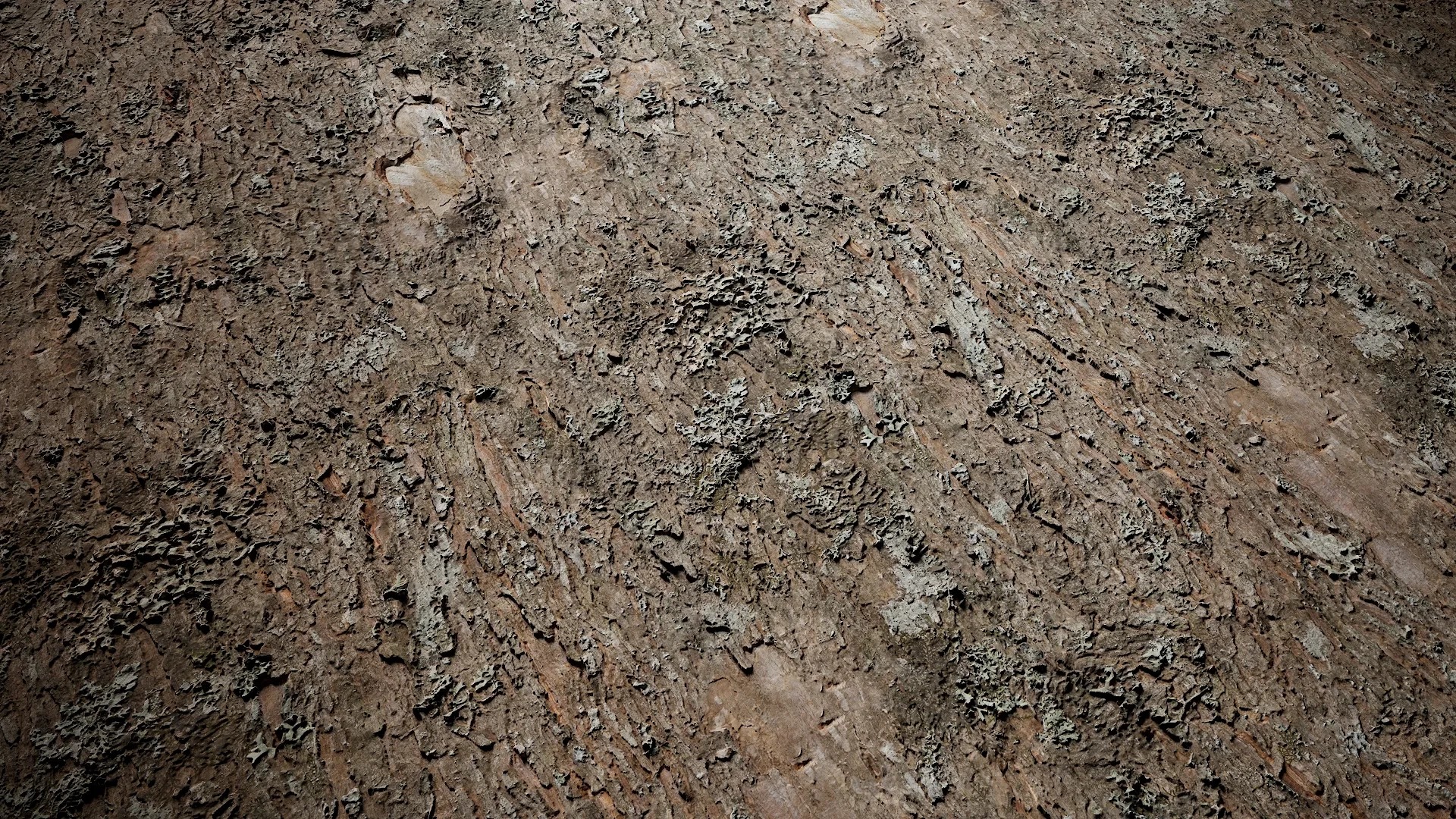 Rhododendron lapponicum Low-poly 3D model_1