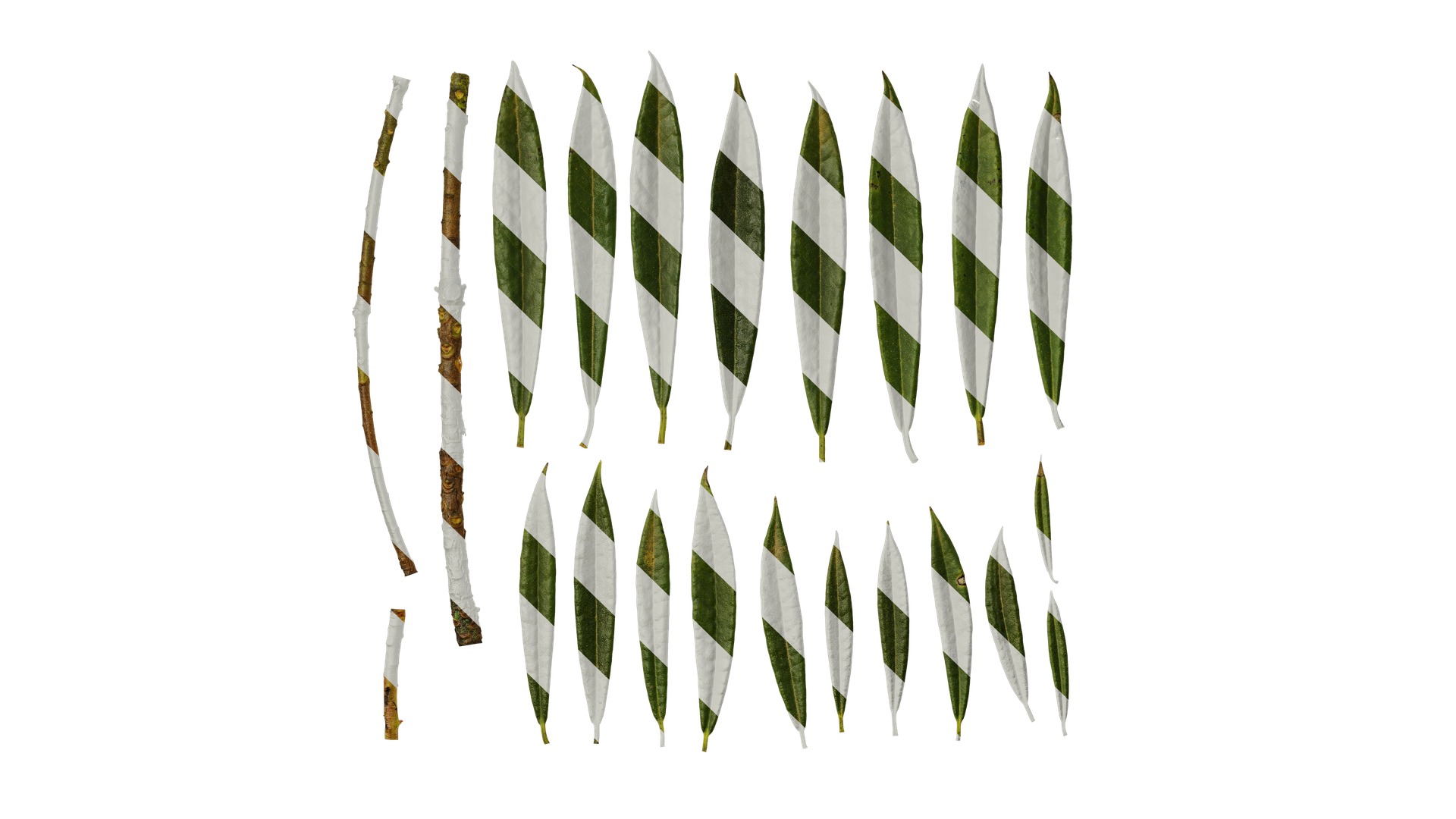 Rhododendron lapponicum Low-poly 3D model_131