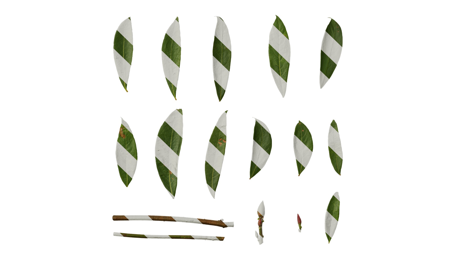 Rhododendron lapponicum Low-poly 3D model_119