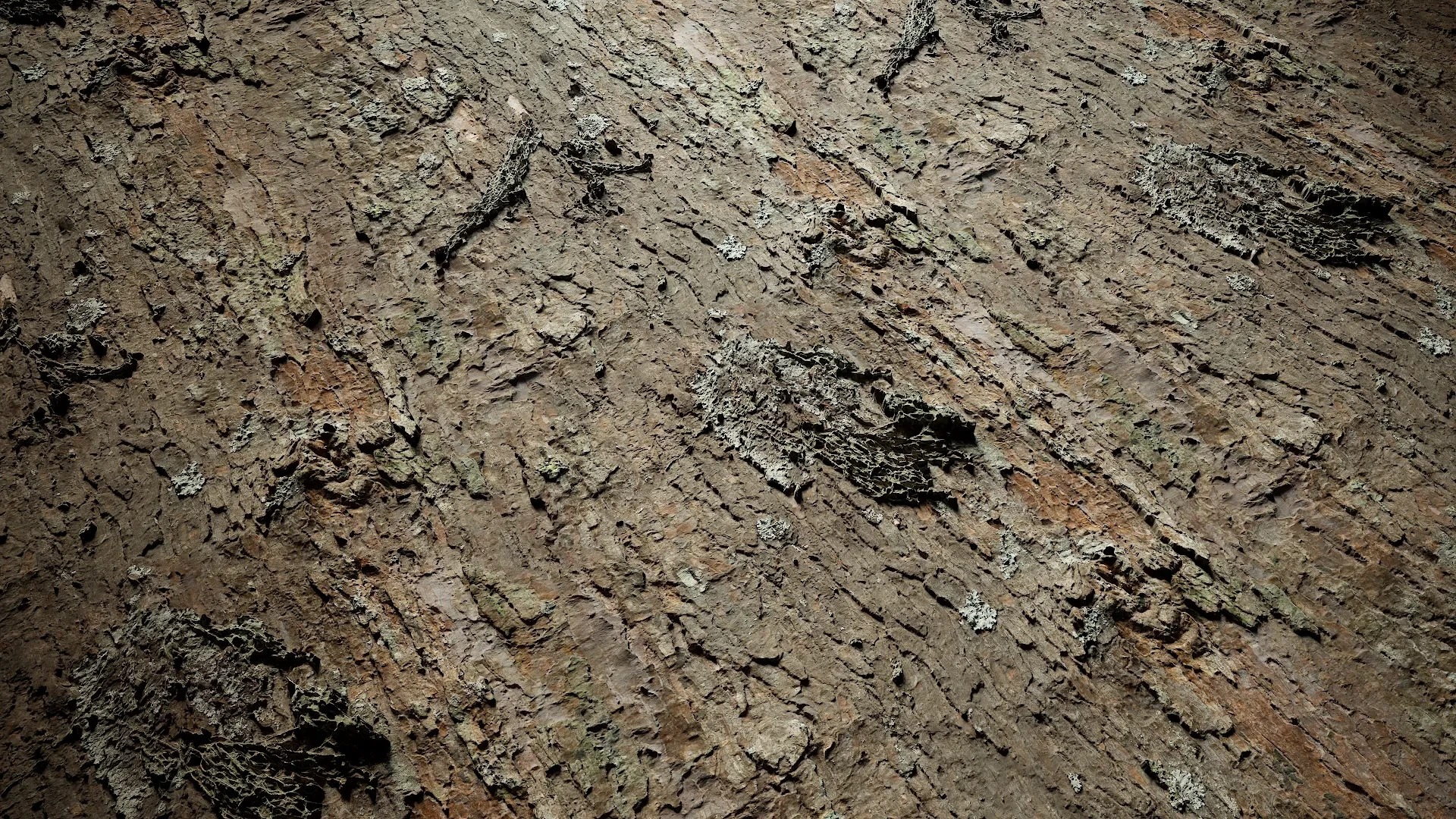 Rhododendron lapponicum Low-poly 3D model_4