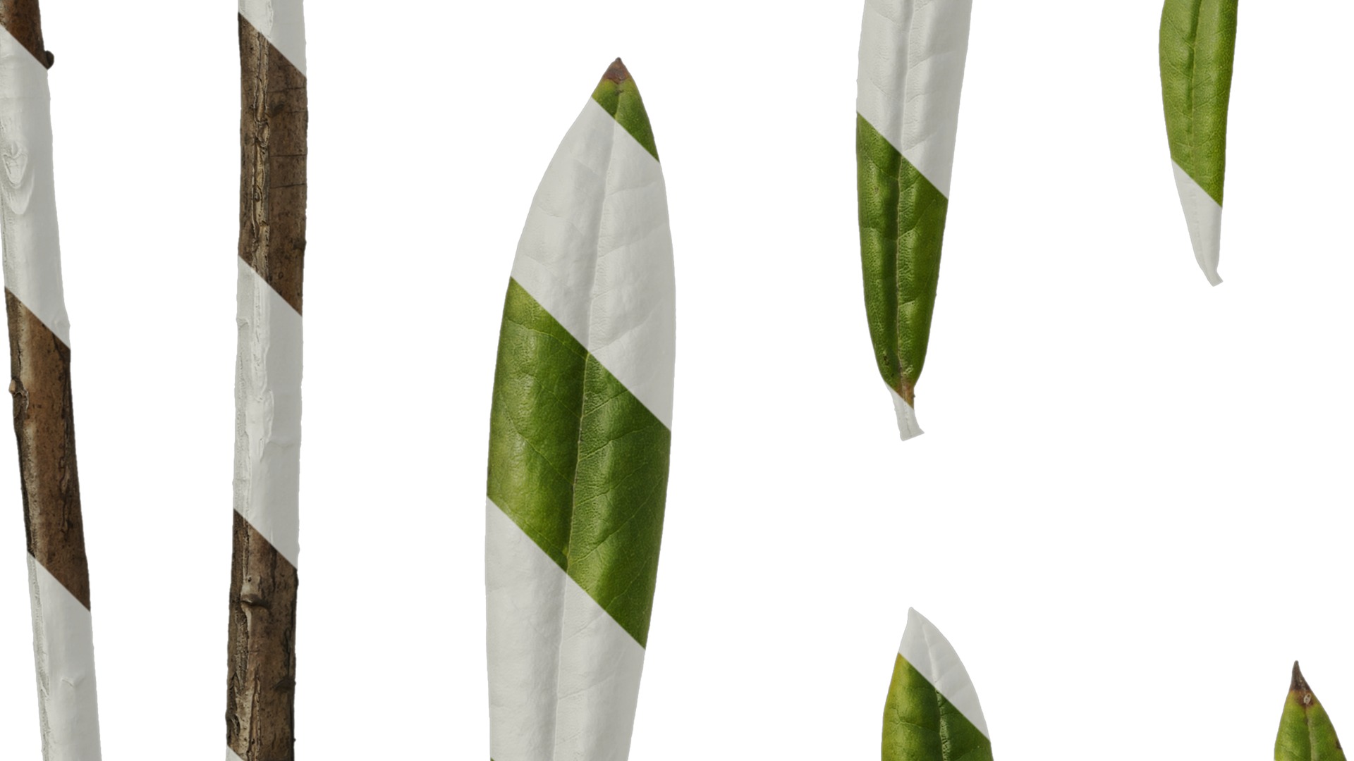 Rhododendron lapponicum Low-poly 3D model_128