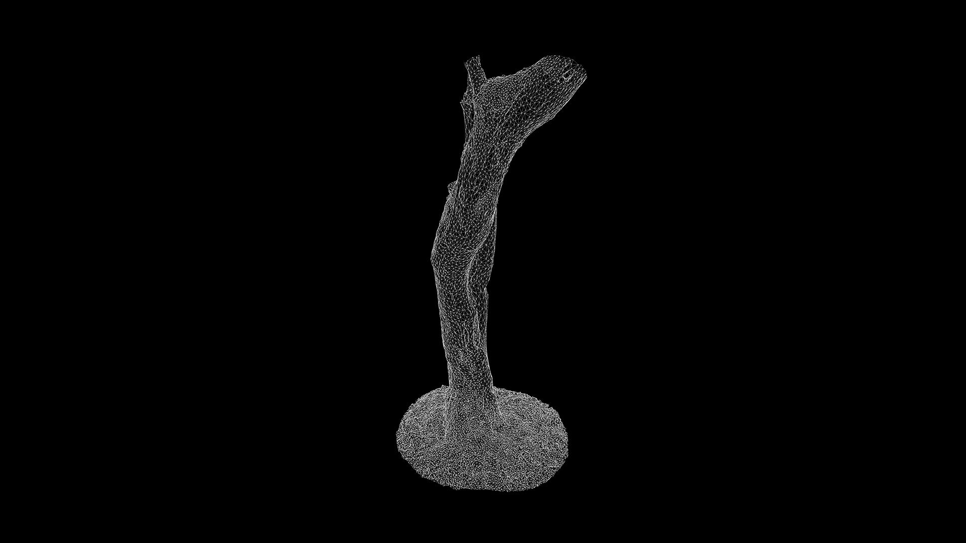 Rhododendron lapponicum Low-poly 3D model_8