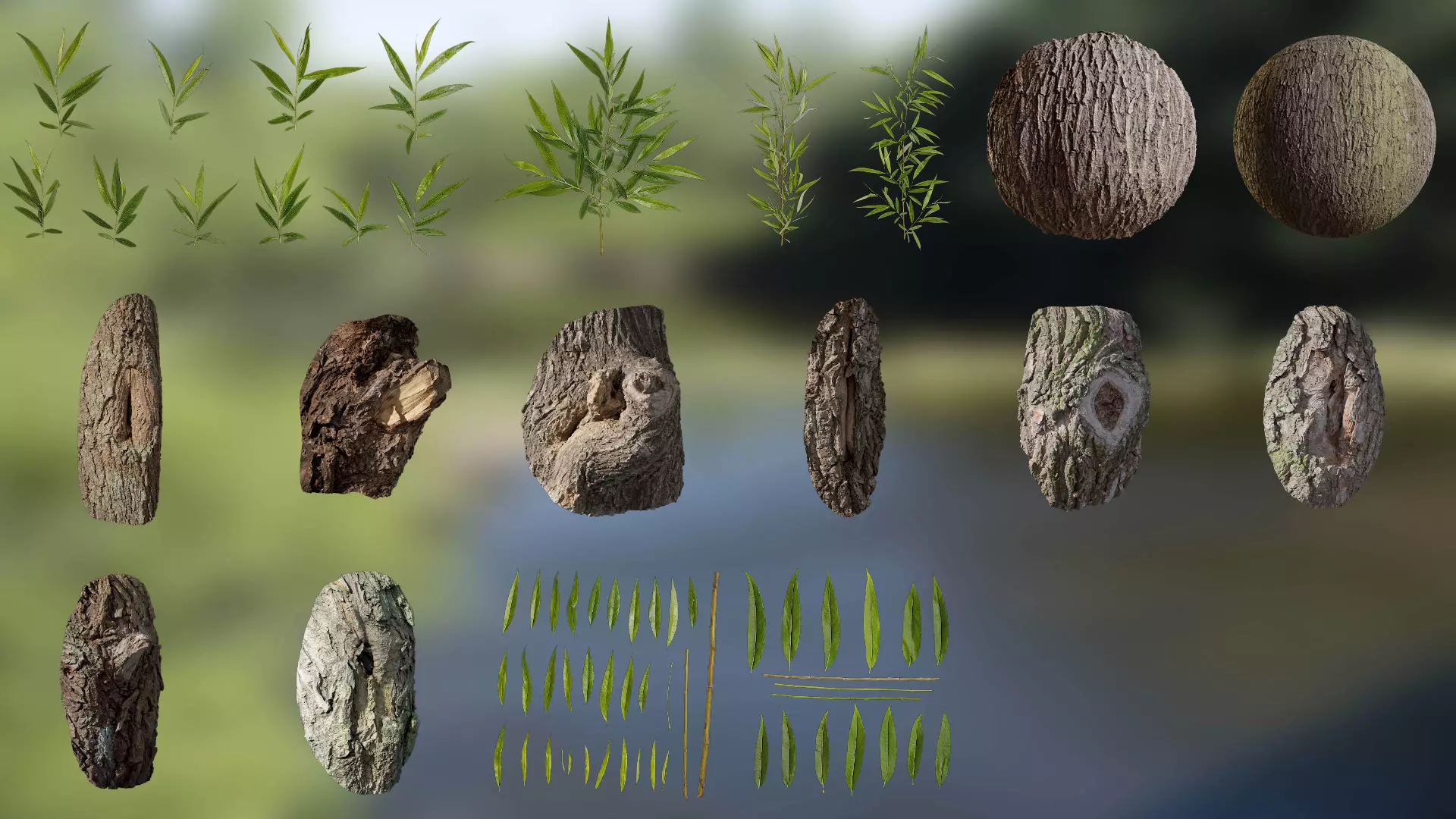 Salix babylonica Low-poly 3D model
