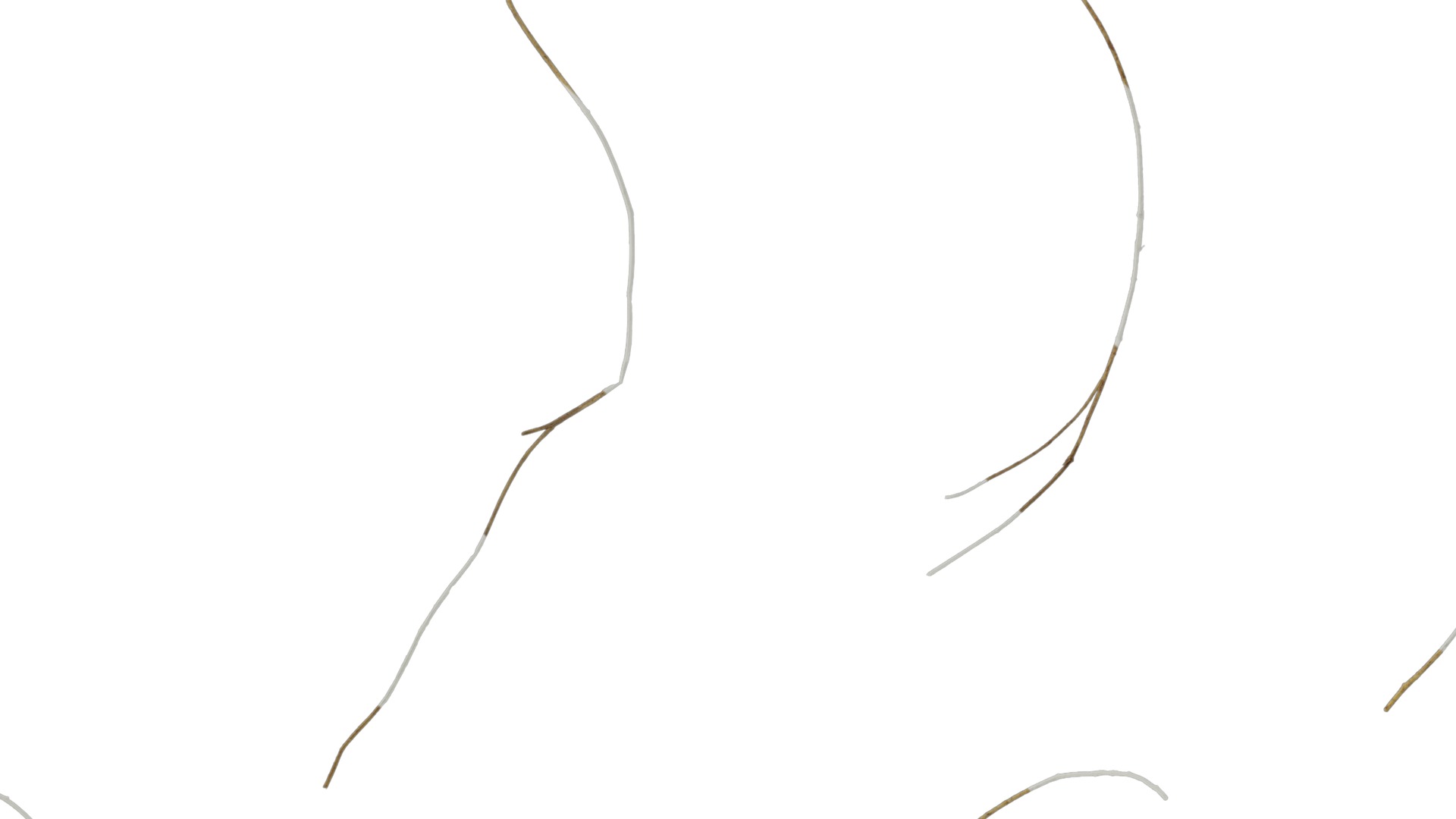 Anydrafts Dead stalks 04 Texture_7