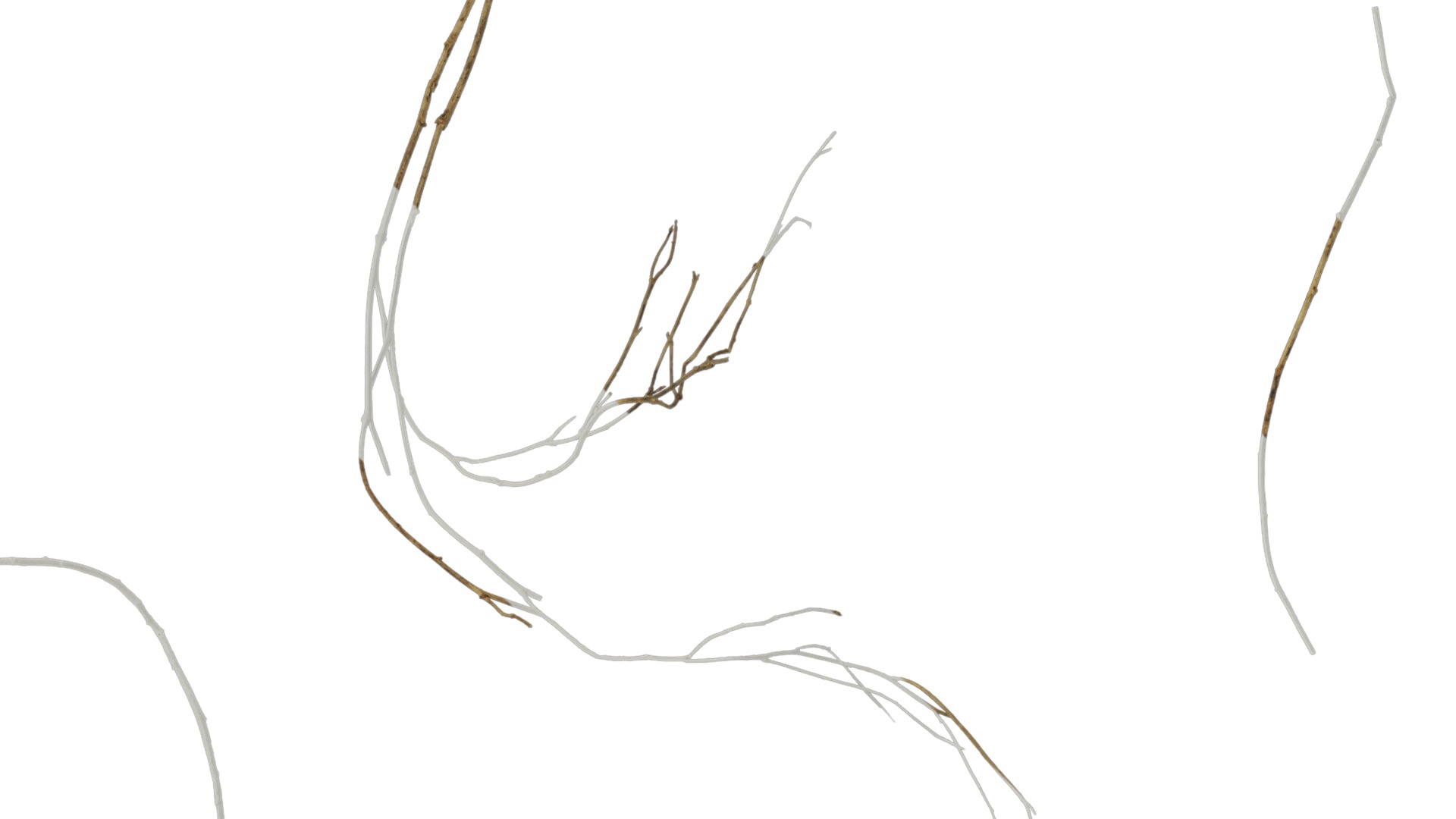 Anydrafts Dead stalks 04 Texture_1