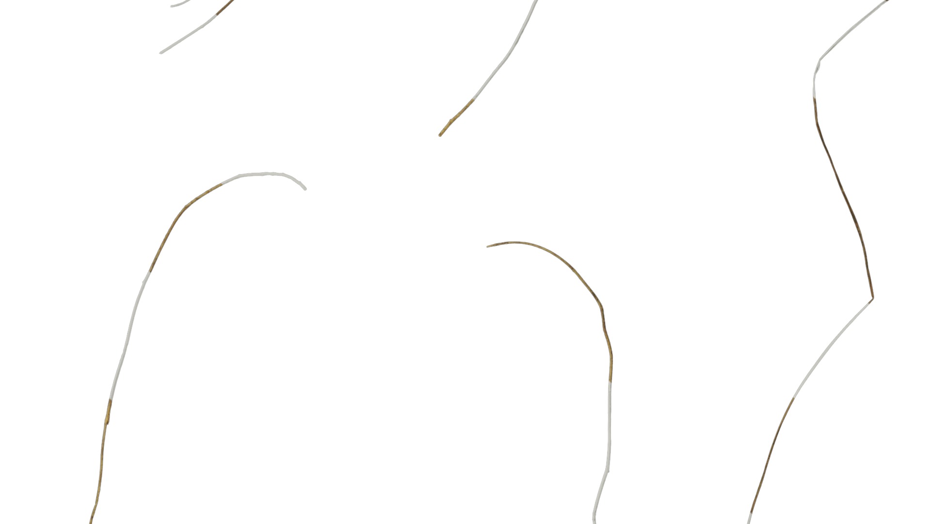 Anydrafts Dead stalks 04 Texture_6