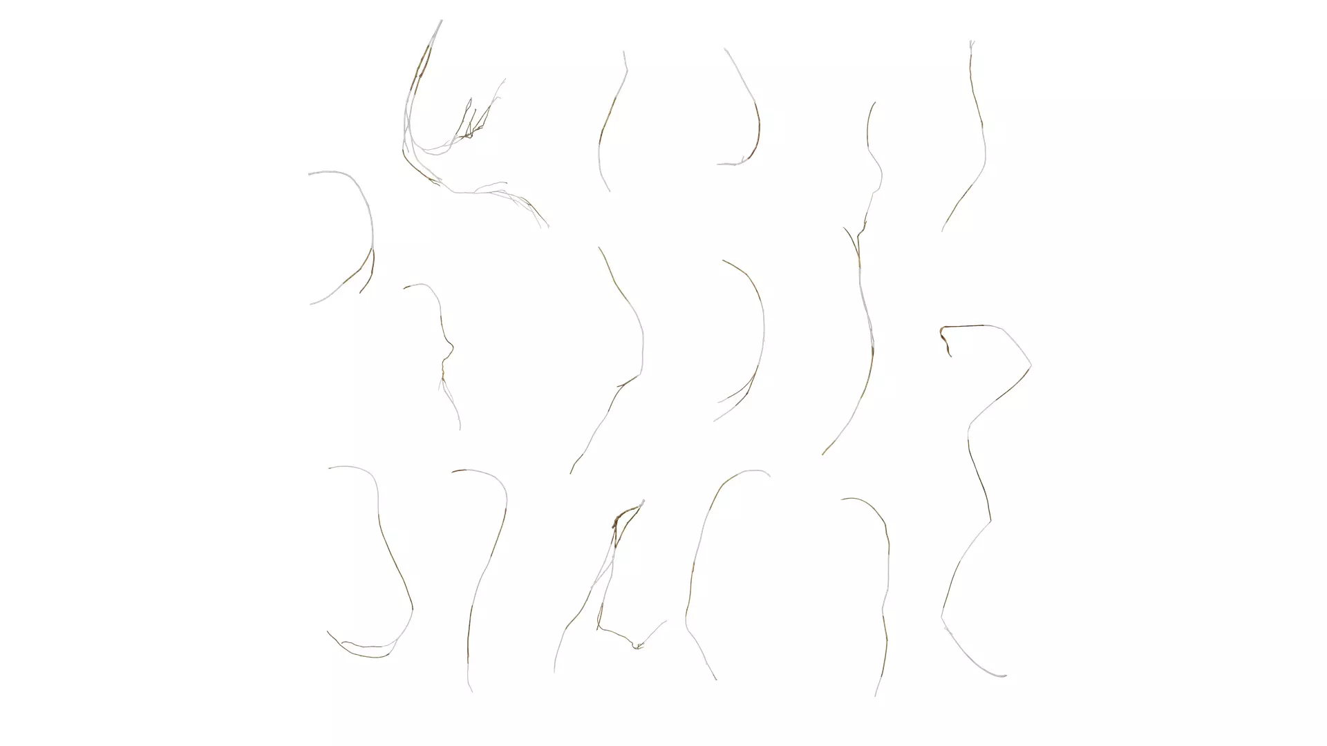 Anydrafts Dead stalks 04 Texture_0