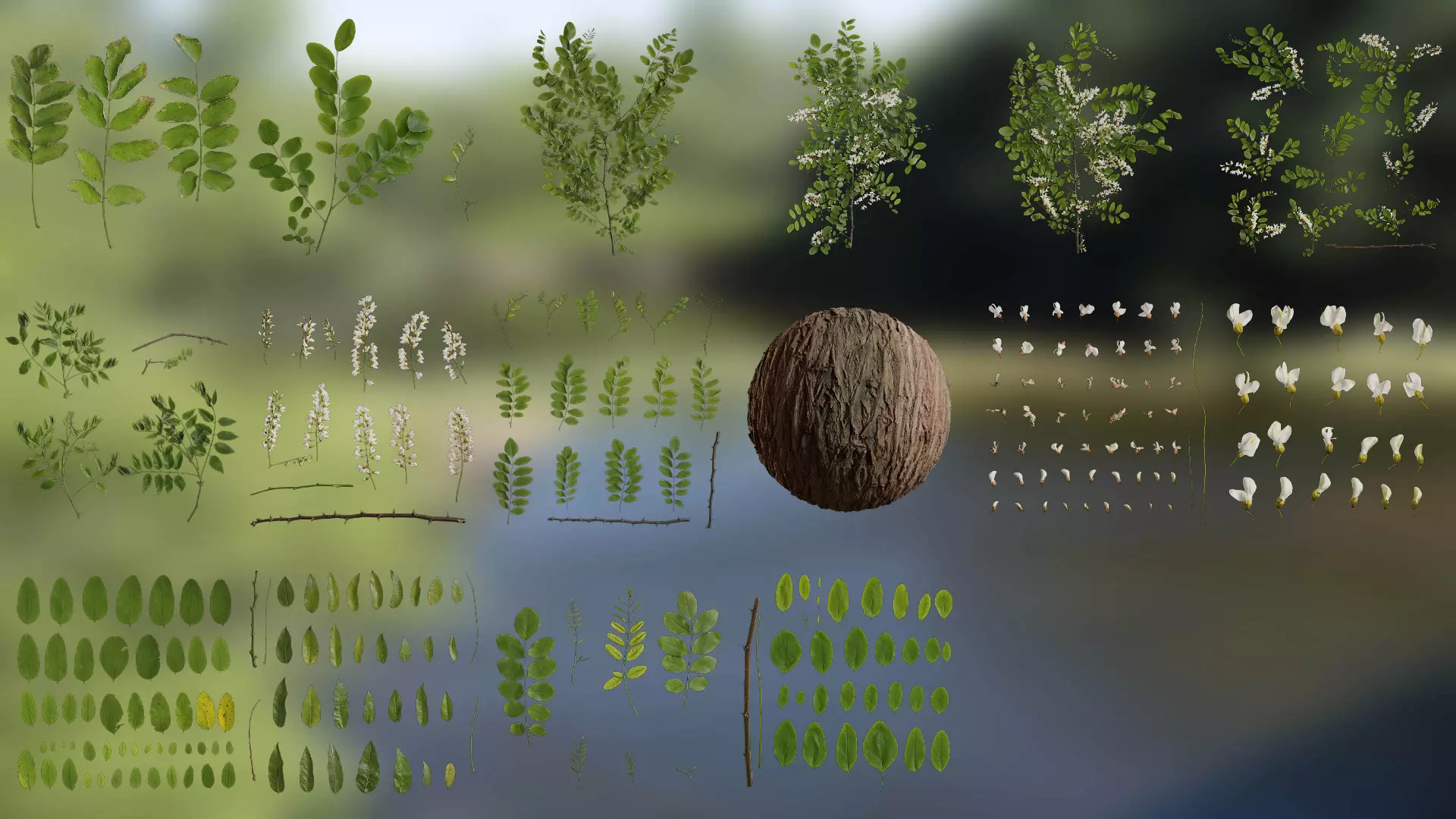 Styphnolobium japonicum Low-poly 3D model