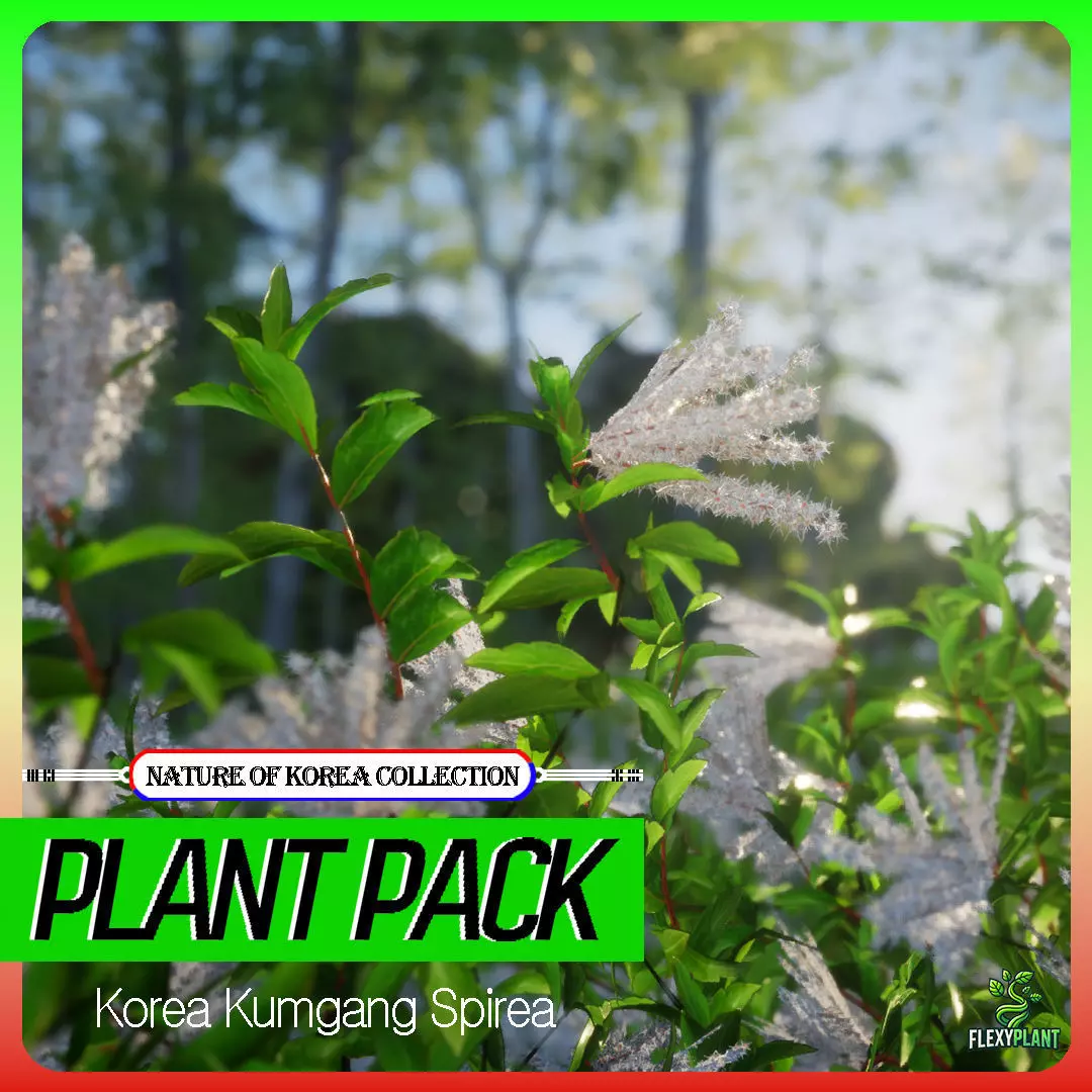 Korean Endemic Species Plant - 4 Korea Kumgang Spirea Bush Low-poly 3D model