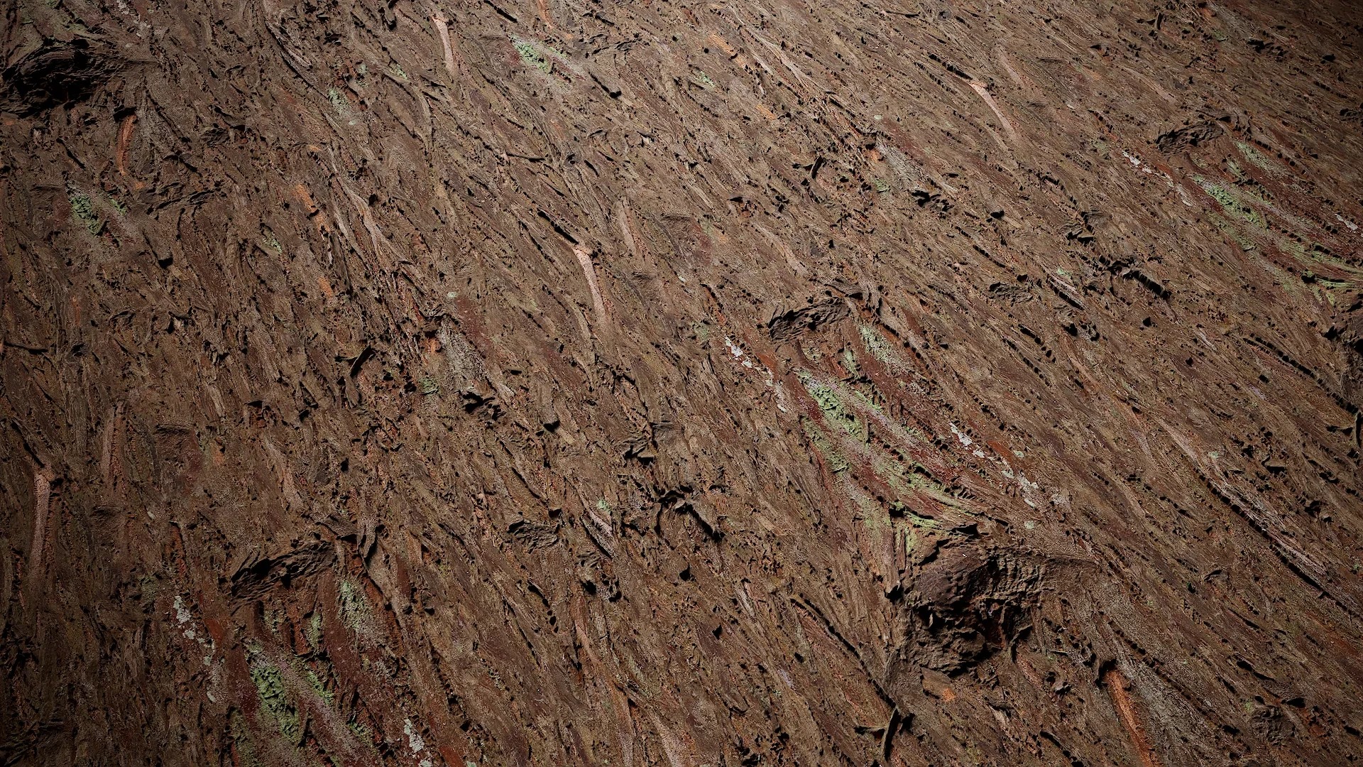 Taxodium ascendens Low-poly 3D model_52