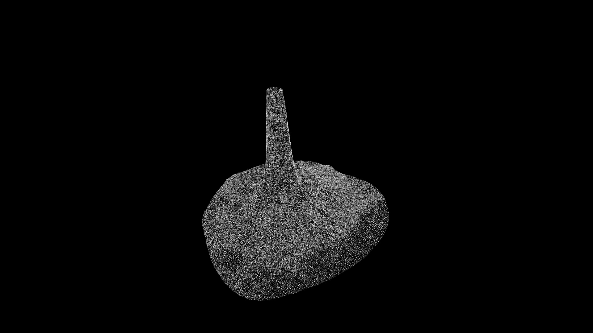Taxodium ascendens Low-poly 3D model_93