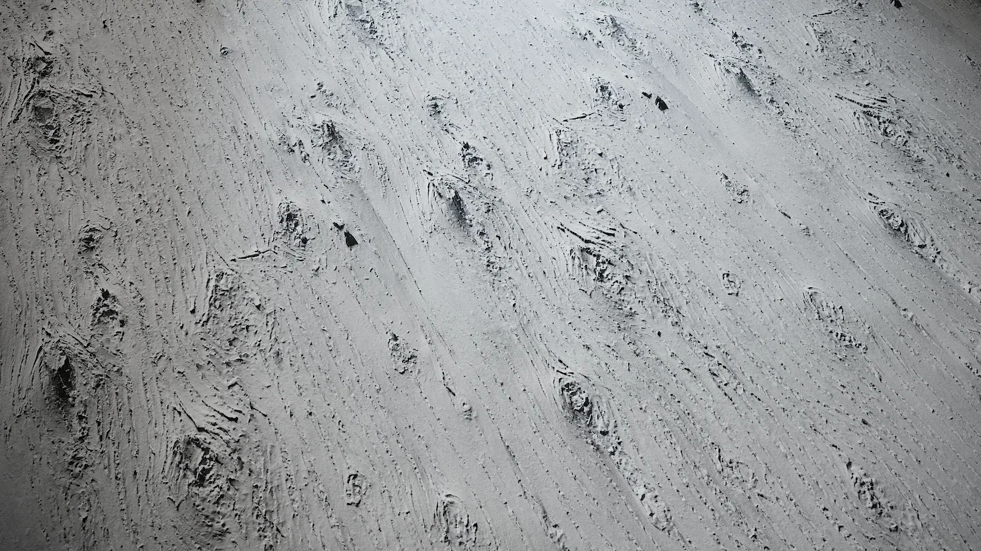 Taxodium ascendens Low-poly 3D model_55