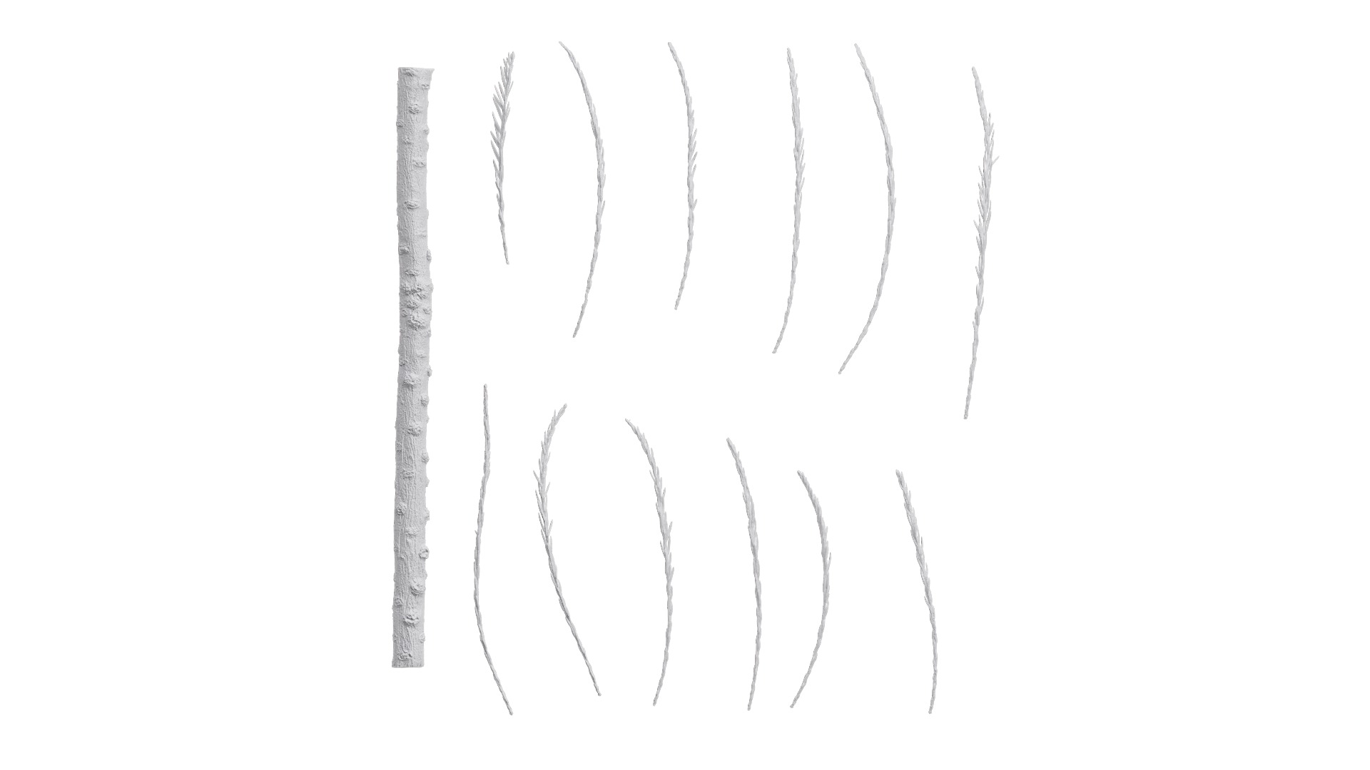 Taxodium ascendens Low-poly 3D model_69