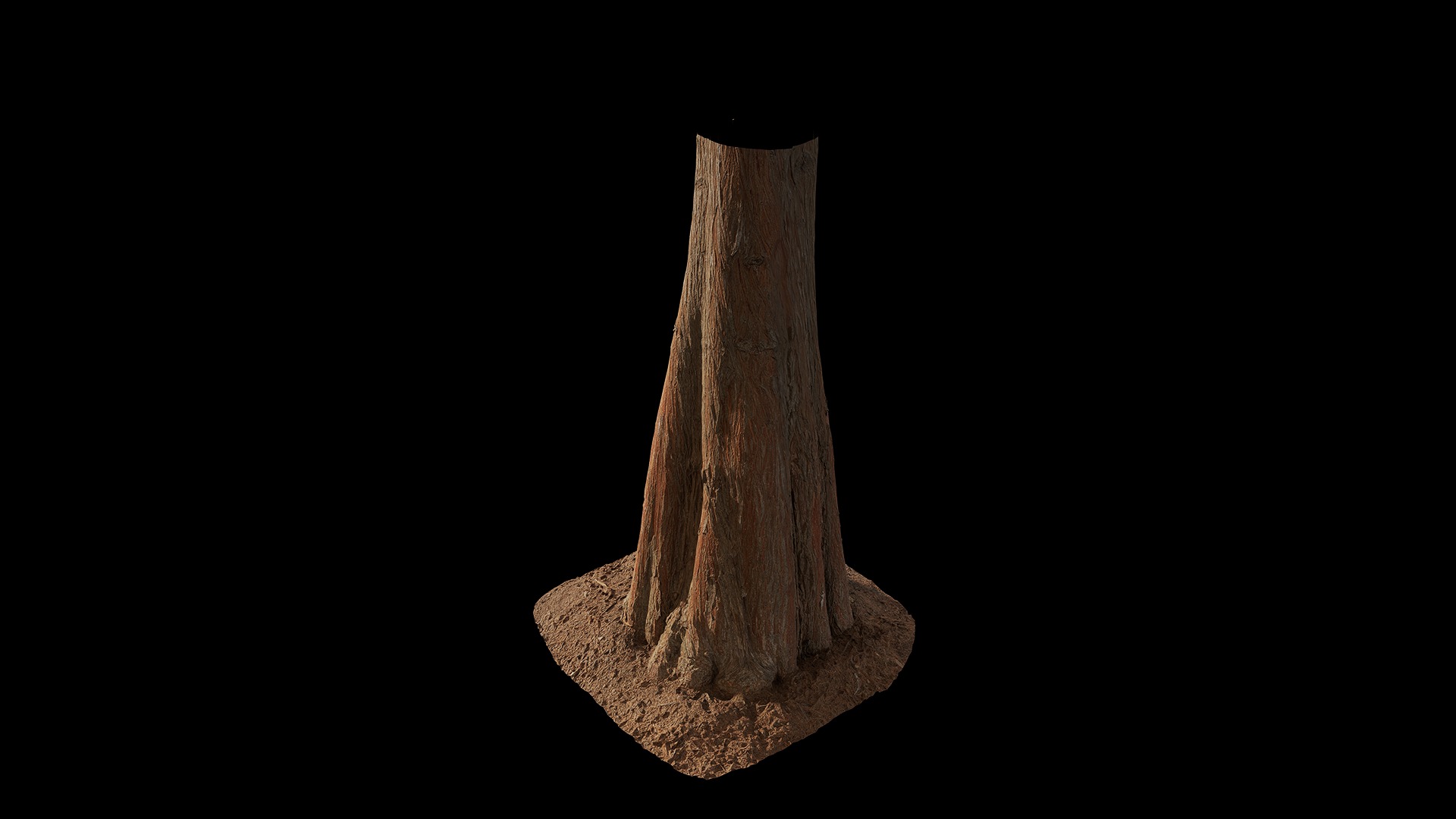 Taxodium ascendens Low-poly 3D model_98