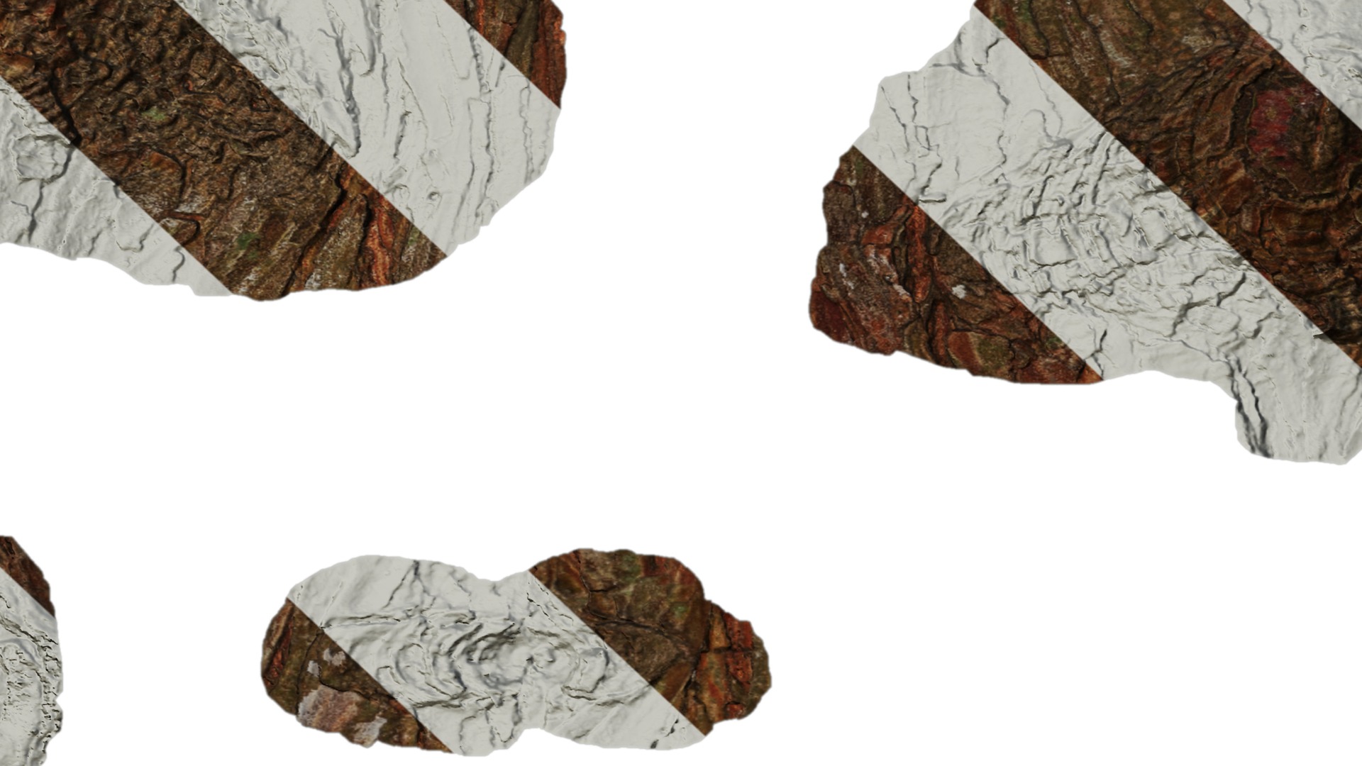 Taxodium ascendens Low-poly 3D model_68