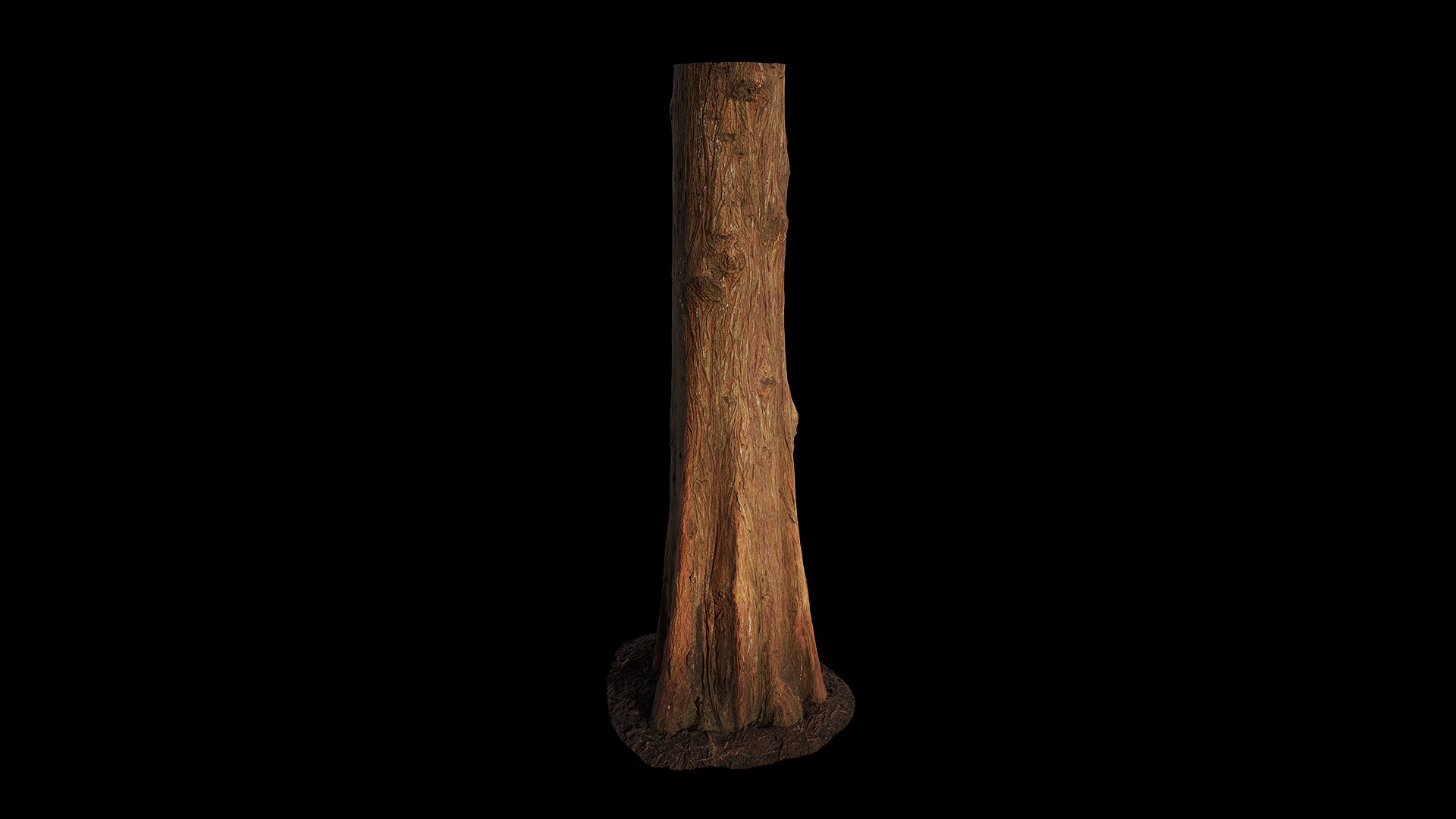 Taxodium ascendens Low-poly 3D model_78