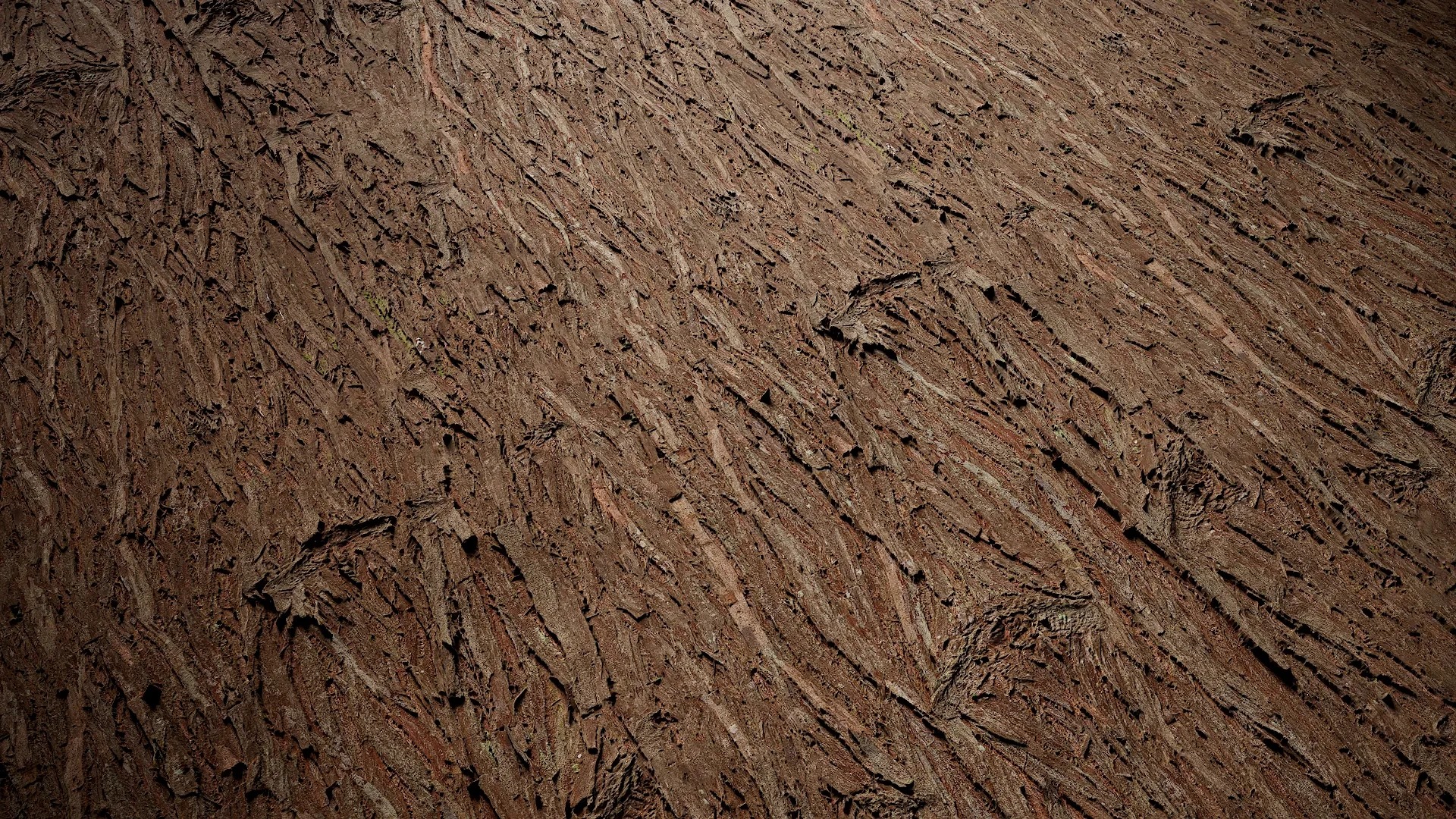 Taxodium ascendens Low-poly 3D model_50