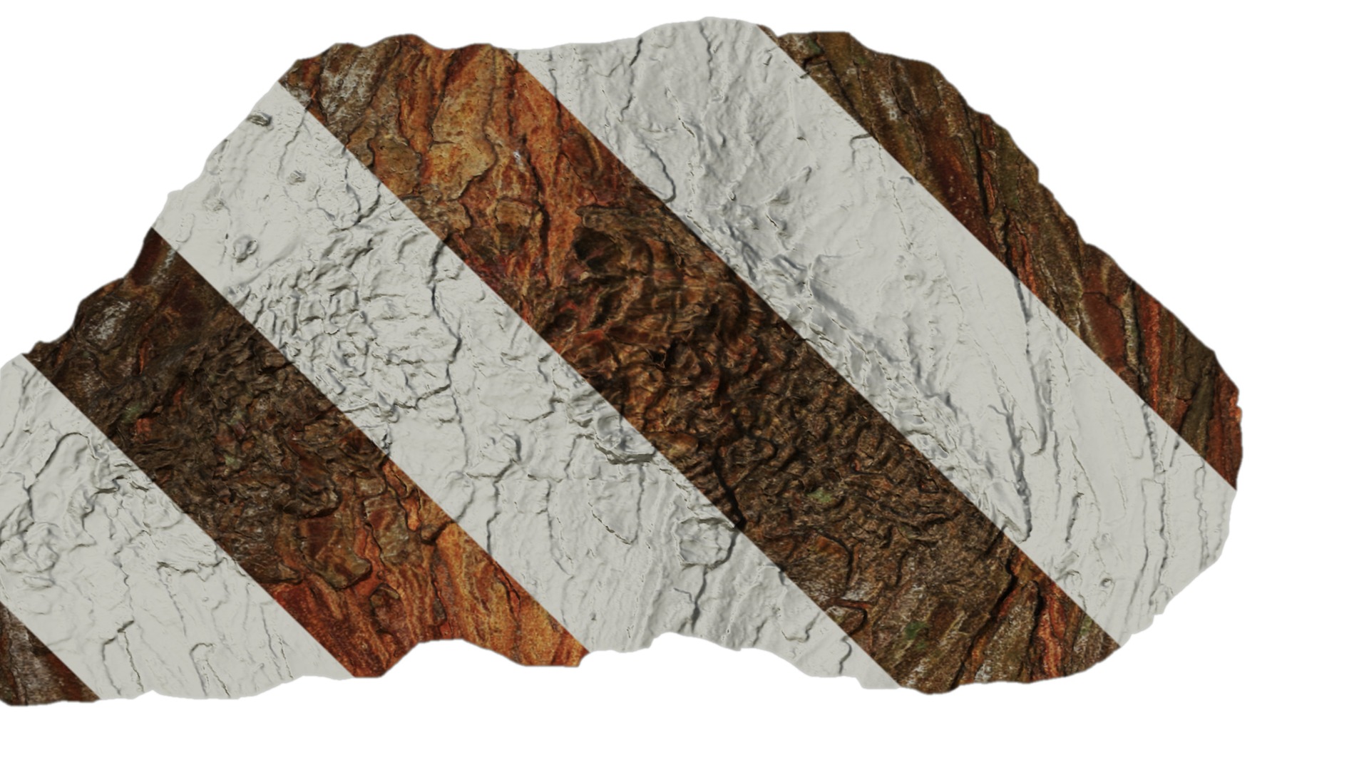 Taxodium ascendens Low-poly 3D model_64