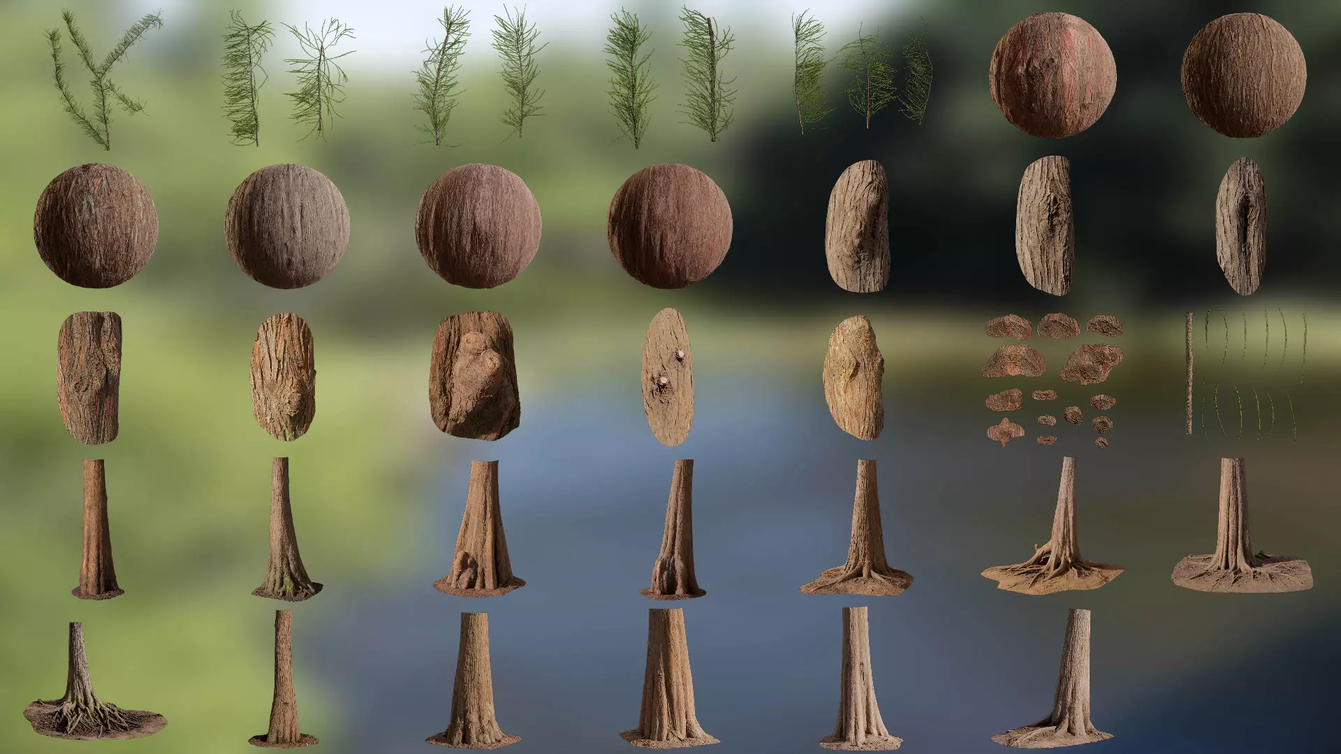 Taxodium ascendens Low-poly 3D model_0