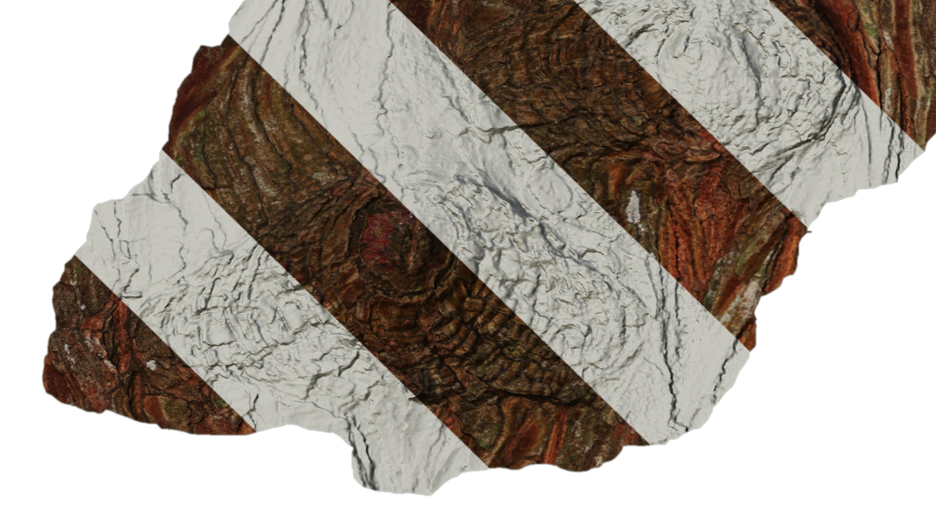 Taxodium ascendens Low-poly 3D model_65