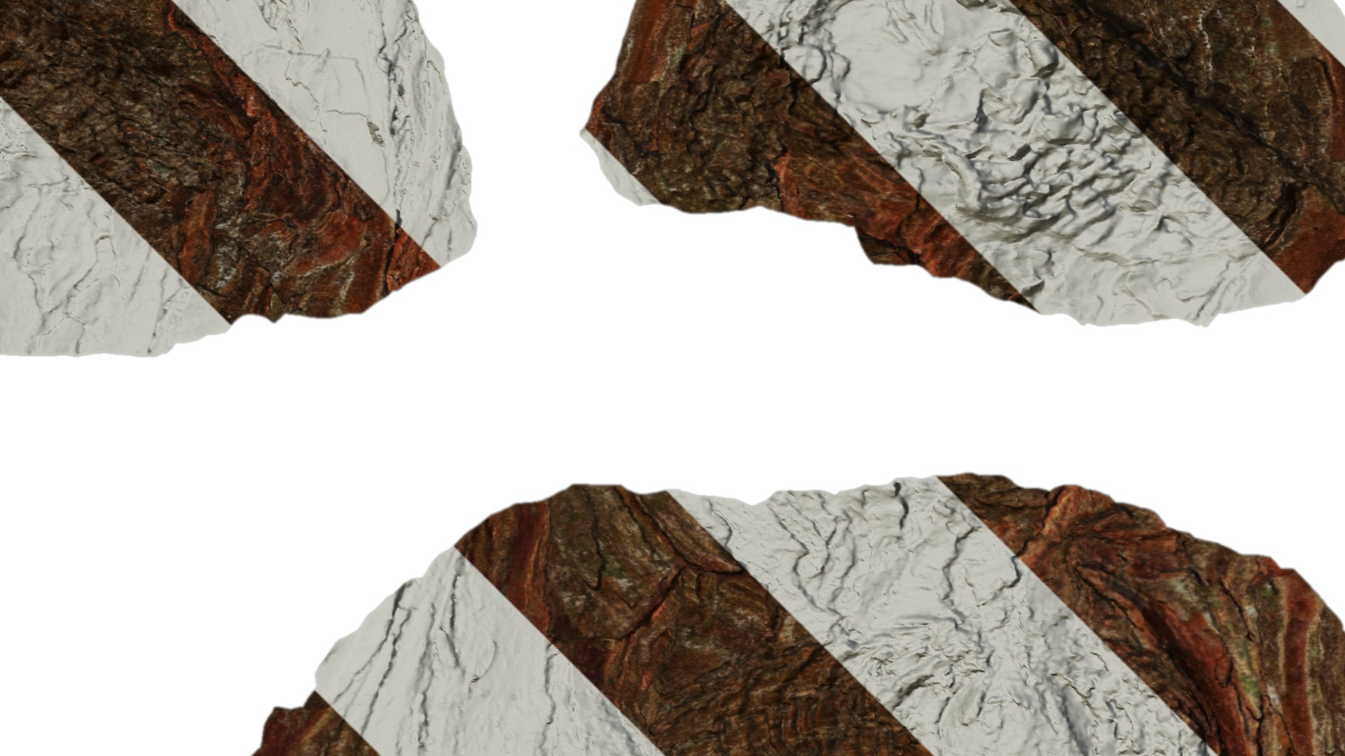 Taxodium ascendens Low-poly 3D model_63