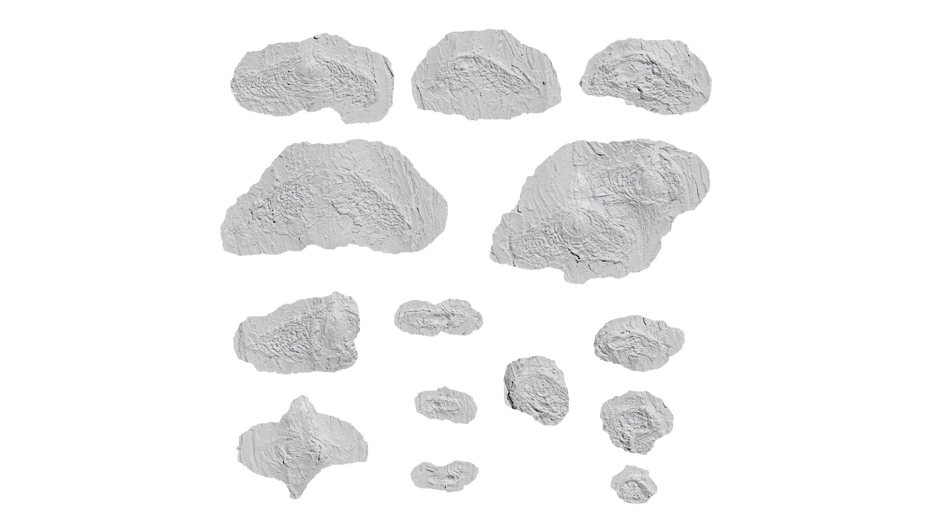 Taxodium ascendens Low-poly 3D model_60