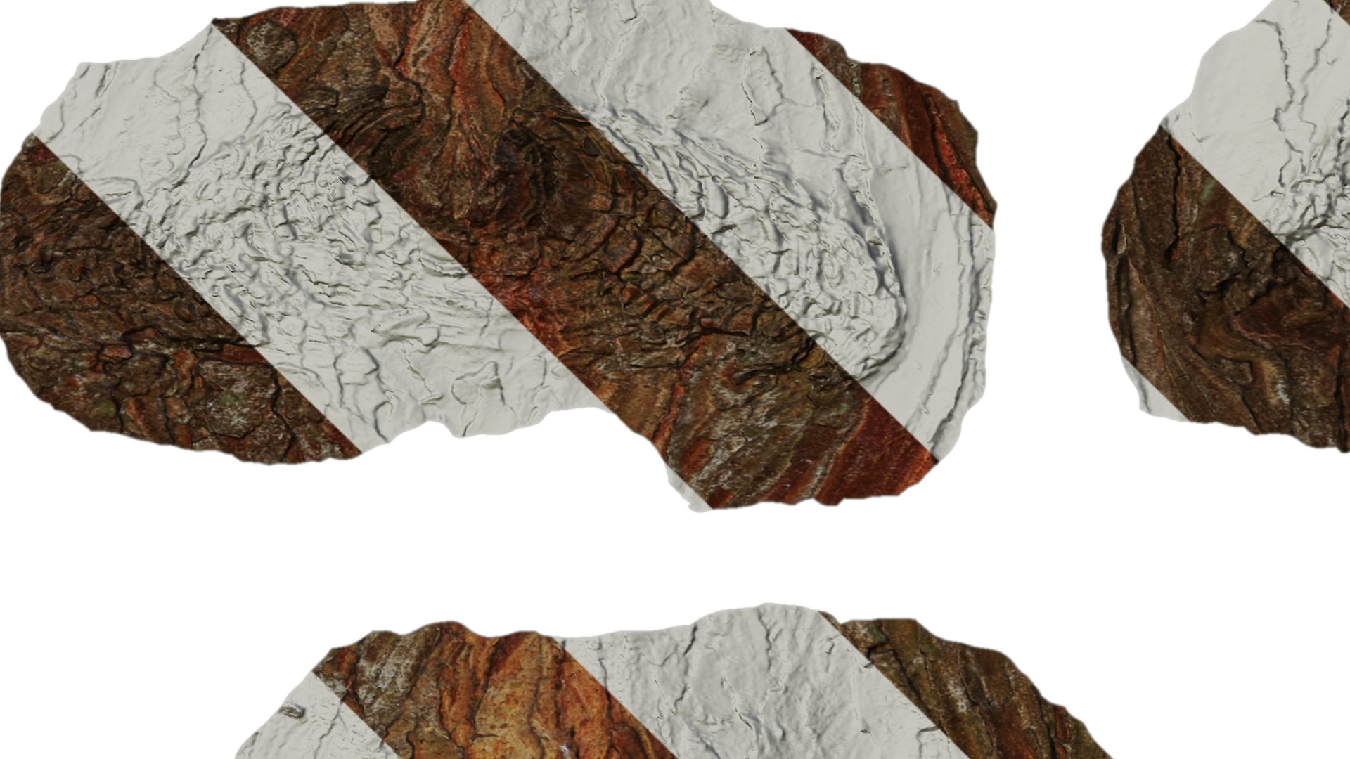 Taxodium ascendens Low-poly 3D model_62