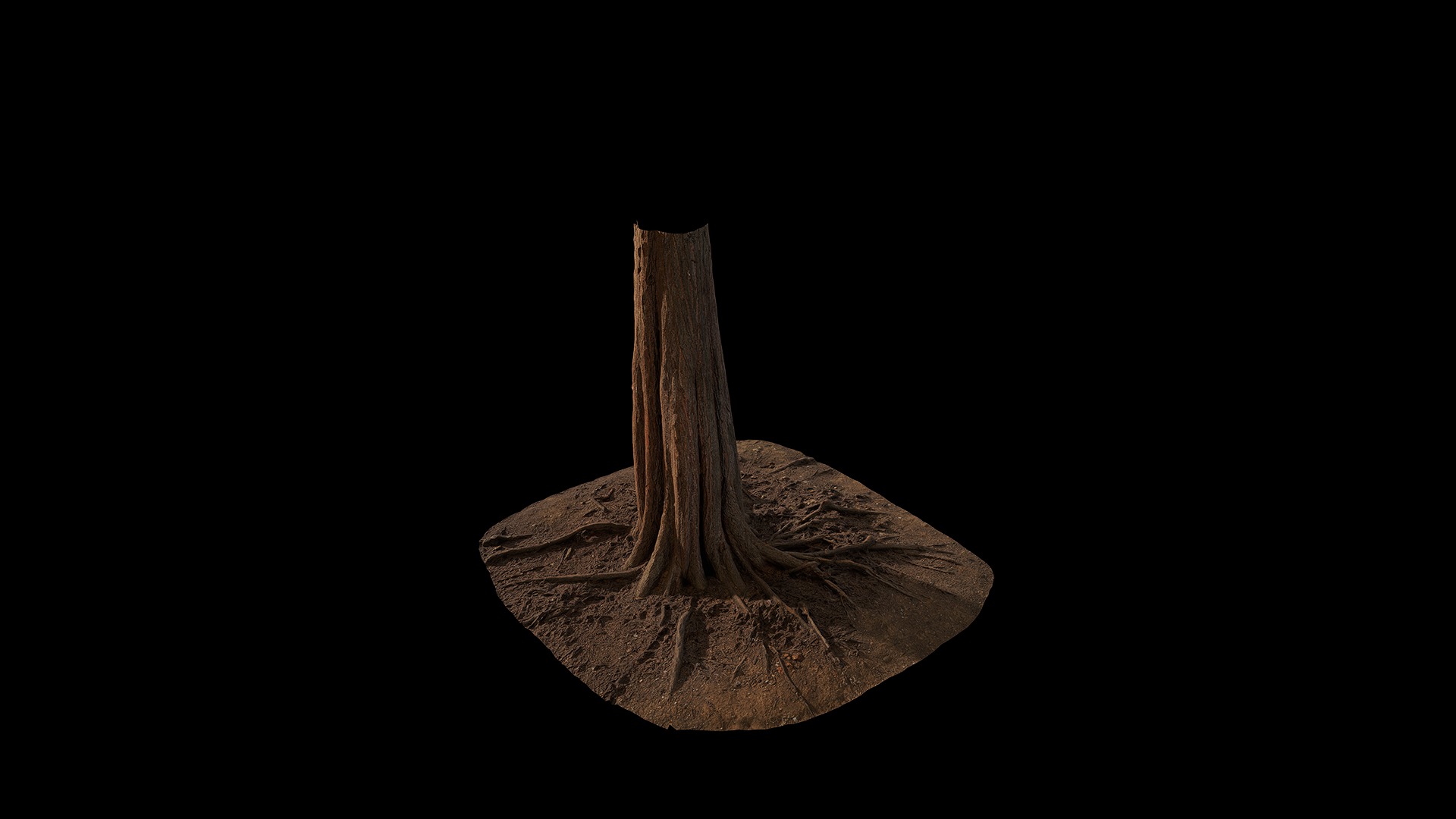 Taxodium ascendens Low-poly 3D model_90