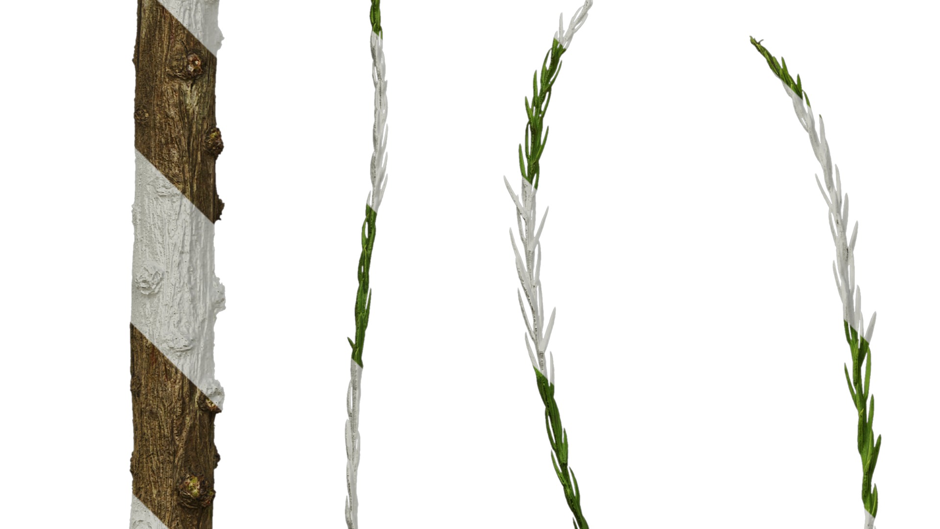 Taxodium ascendens Low-poly 3D model_75