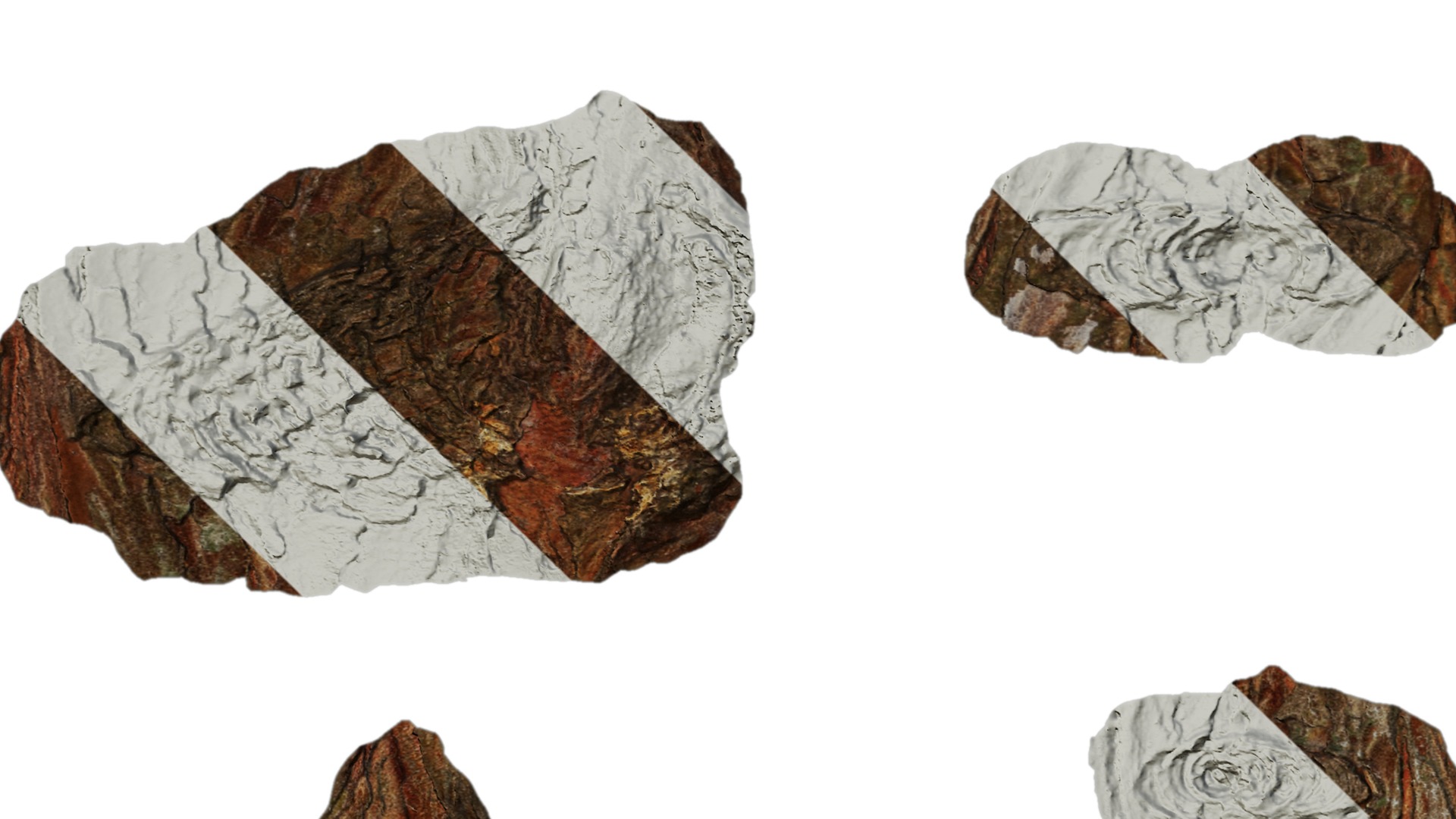 Taxodium ascendens Low-poly 3D model_66