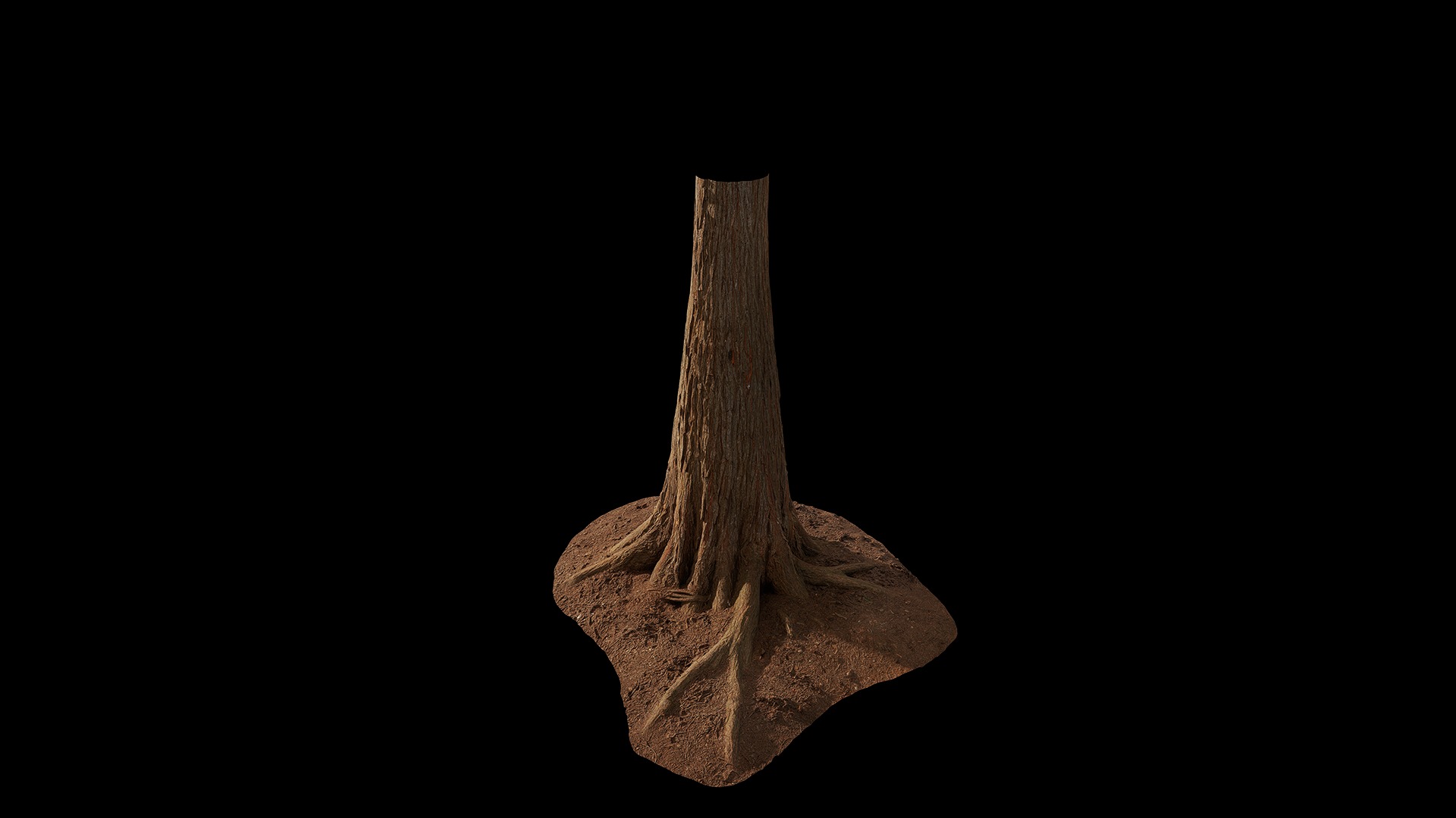 Taxodium ascendens Low-poly 3D model_86