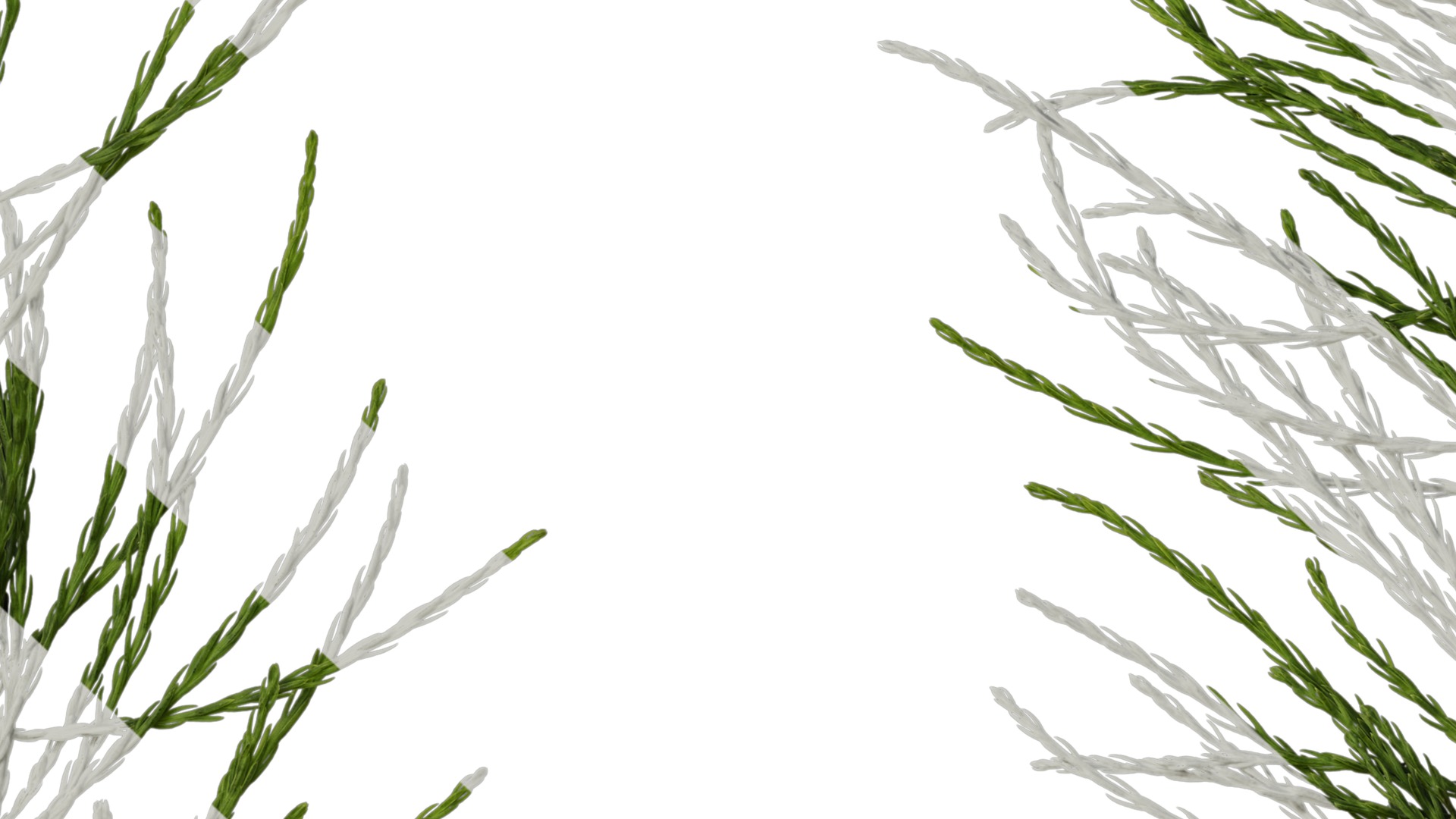 Taxodium ascendens Low-poly 3D model_37