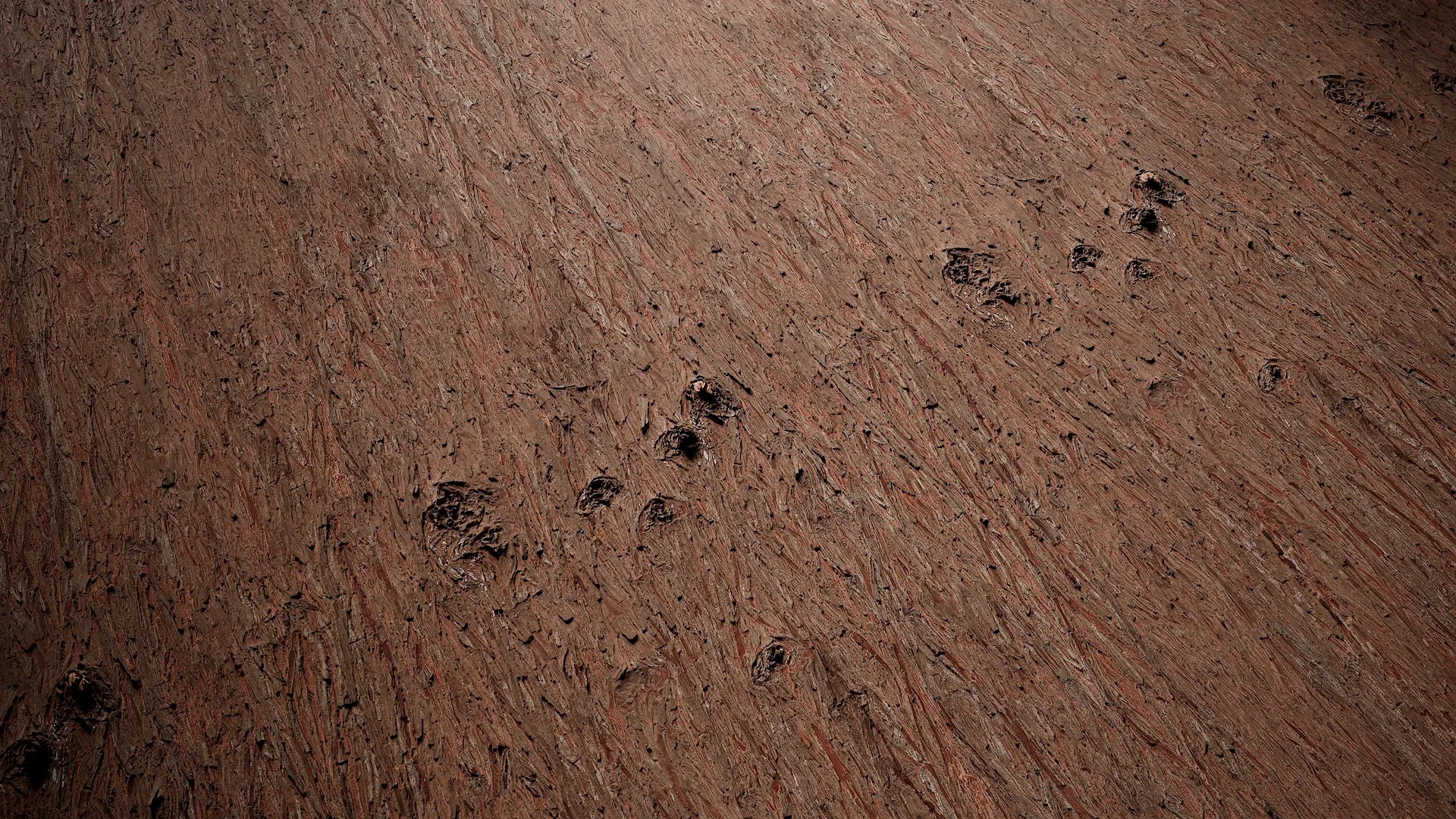 Taxodium ascendens Low-poly 3D model_58