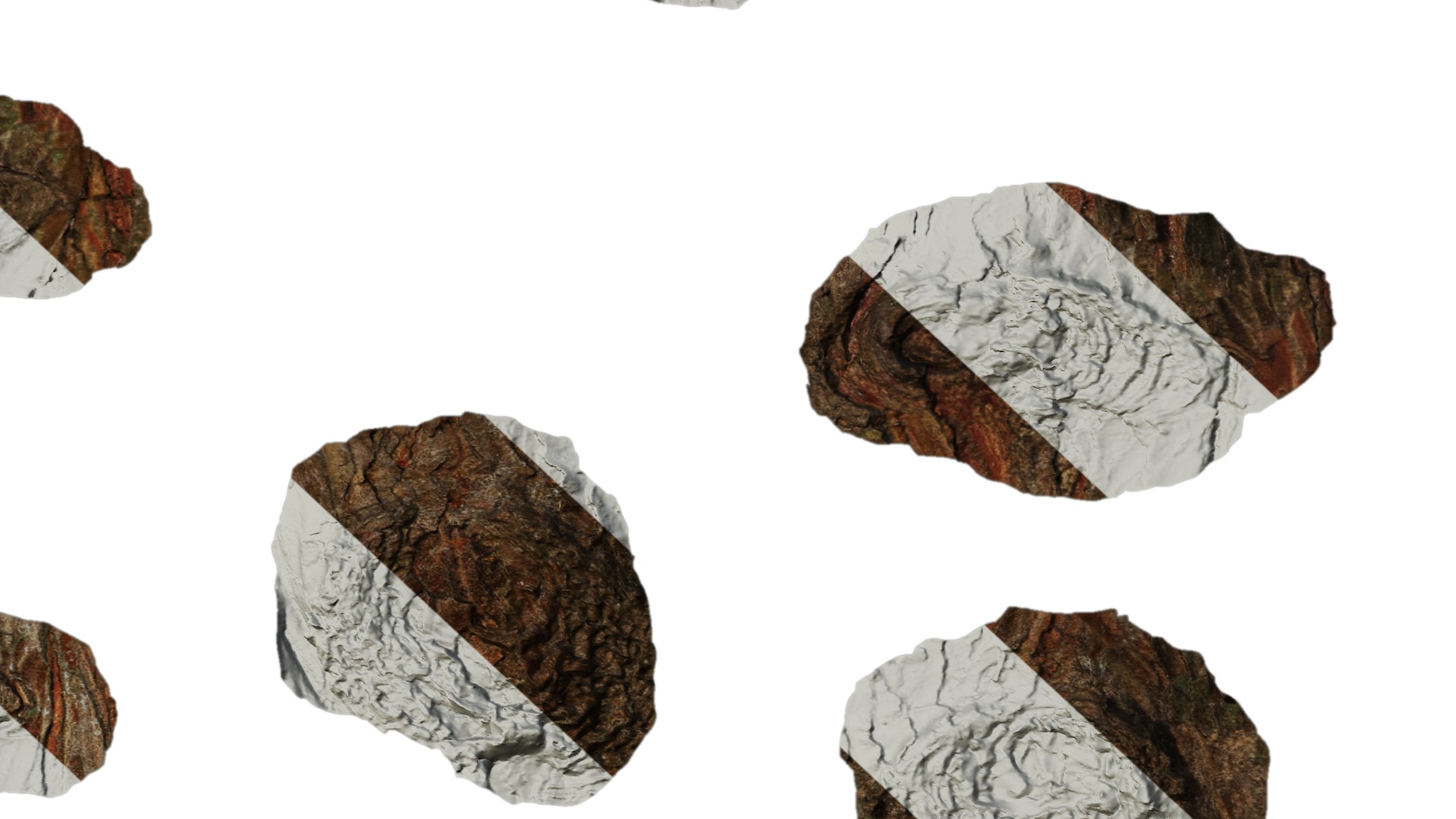 Taxodium ascendens Low-poly 3D model_67