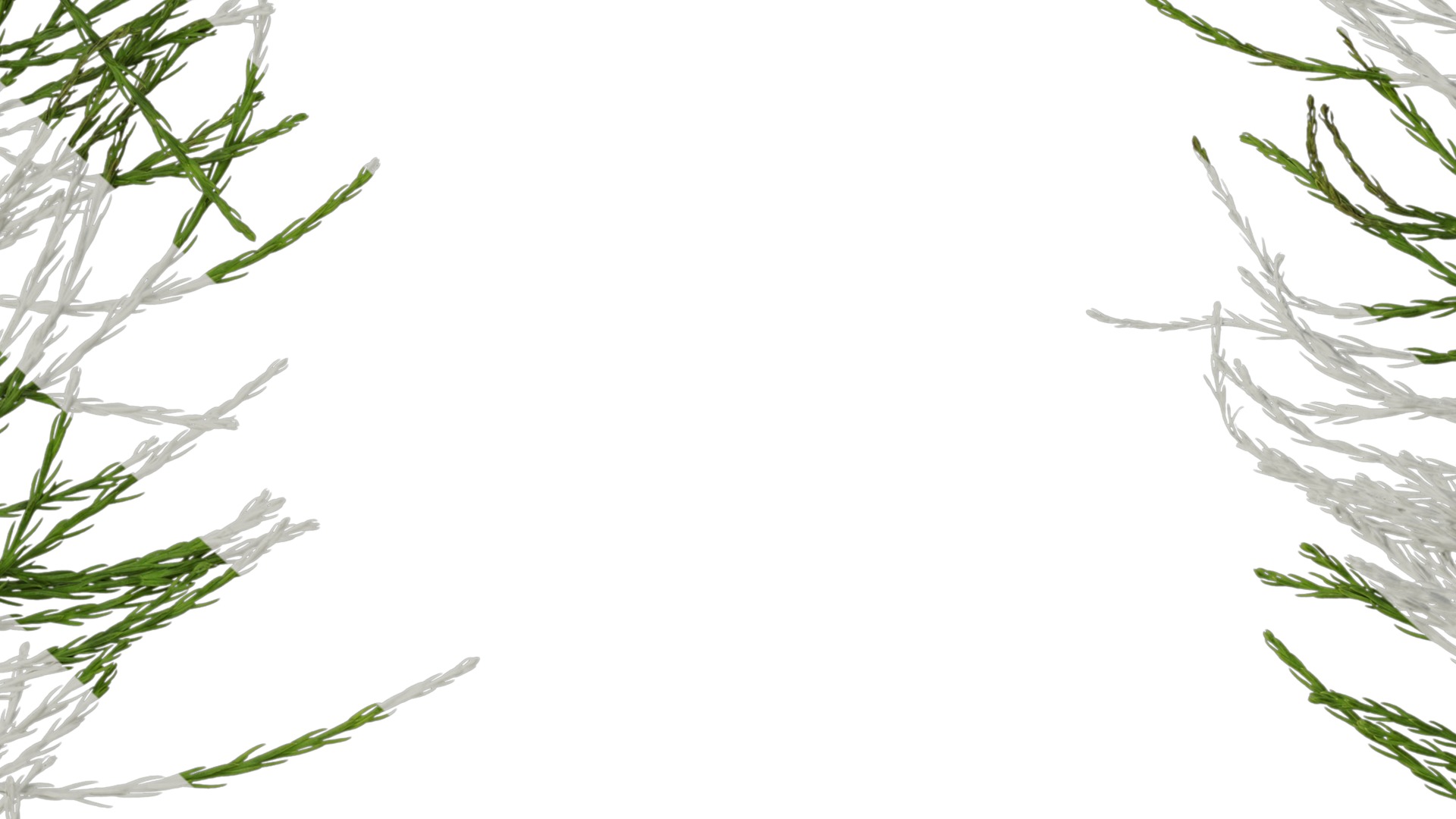 Taxodium ascendens Low-poly 3D model_28